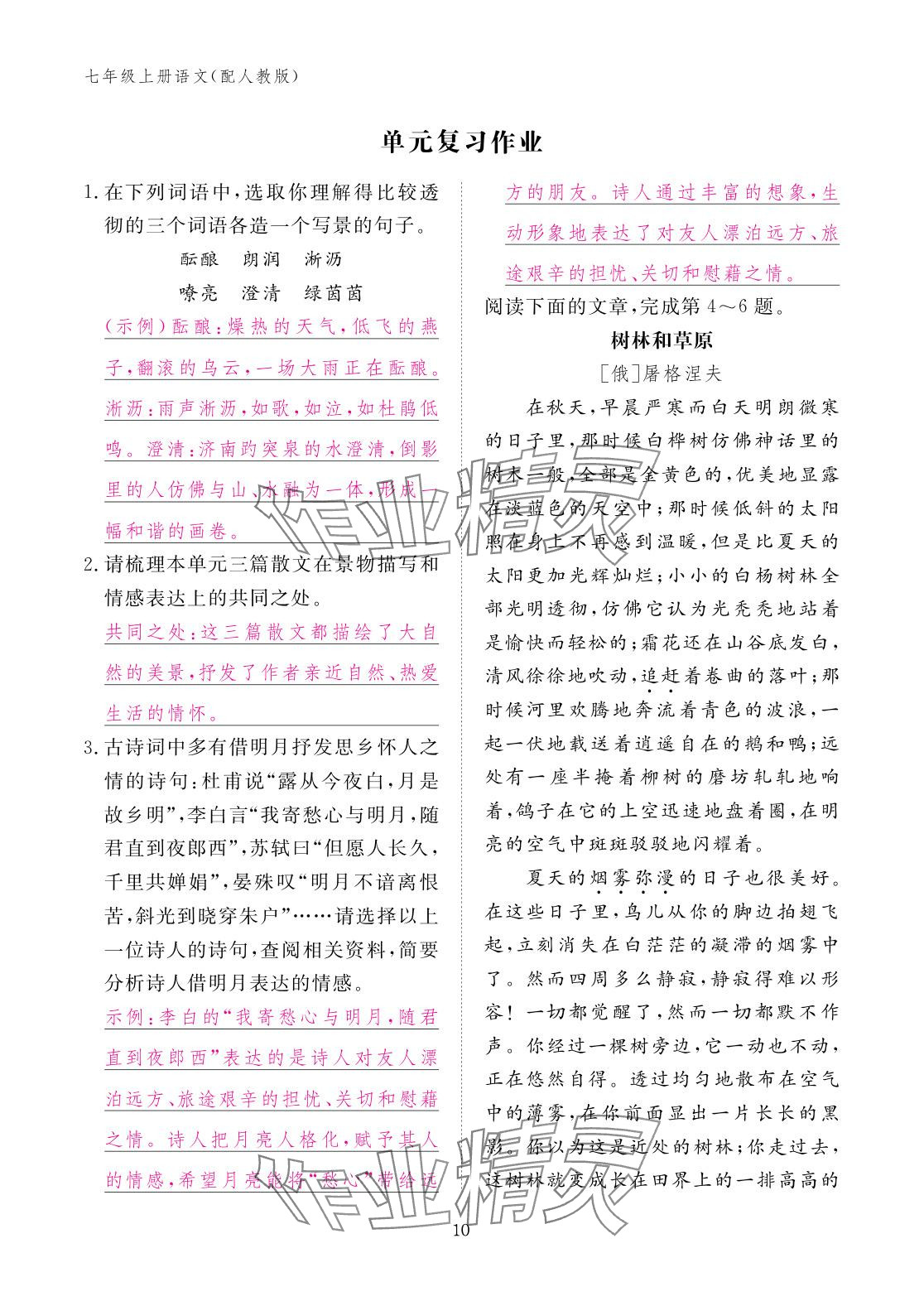 2025年作业本江西教育出版社七年级语文上册人教版 参考答案第10页