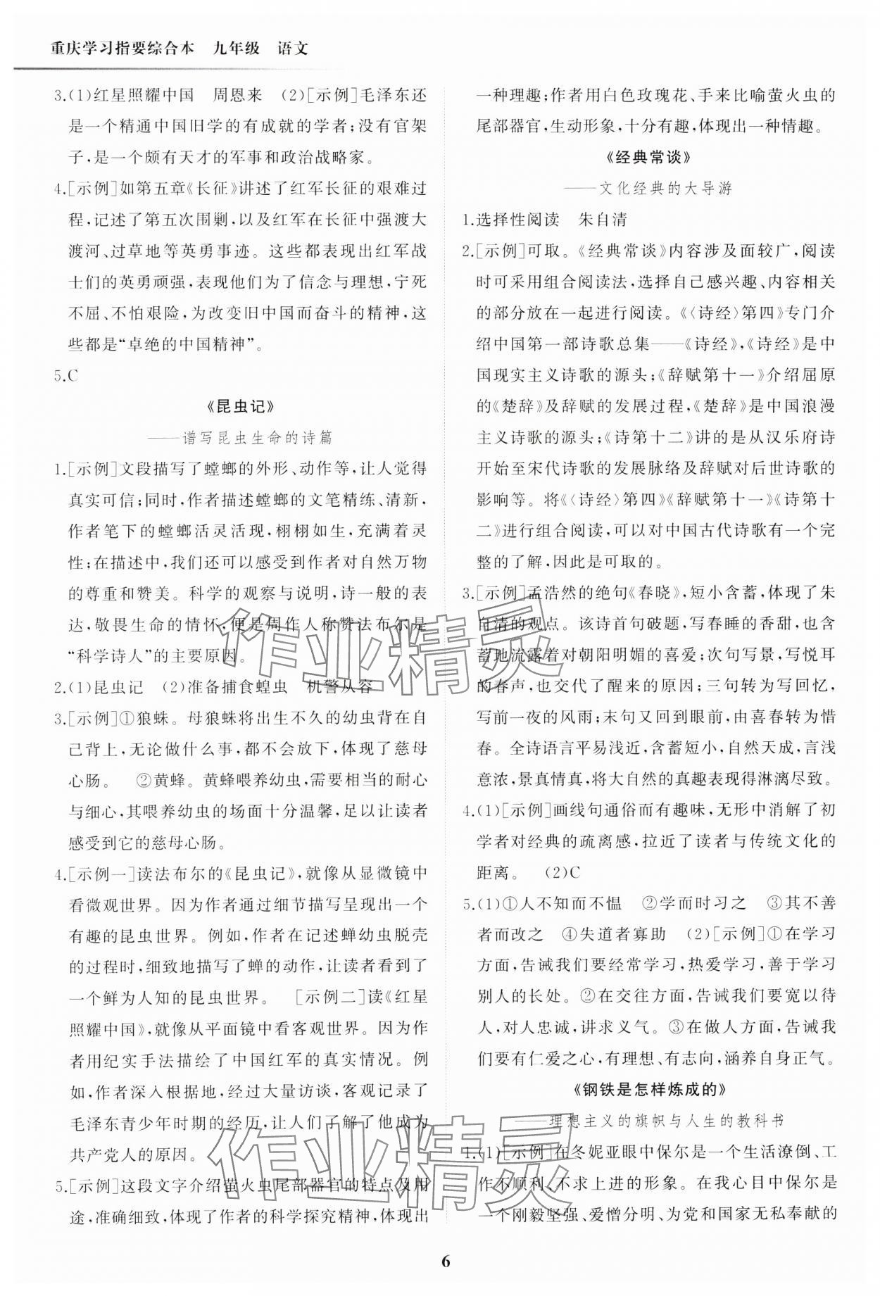 2025年學習指要綜合本九年級語文 第6頁