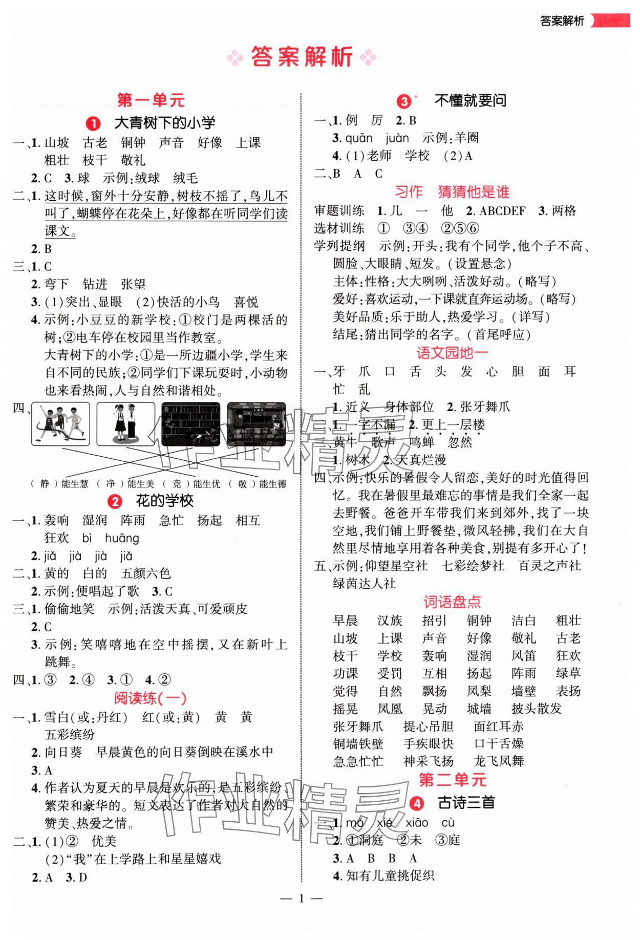 2025年细解巧练三年级语文上册人教版 第1页