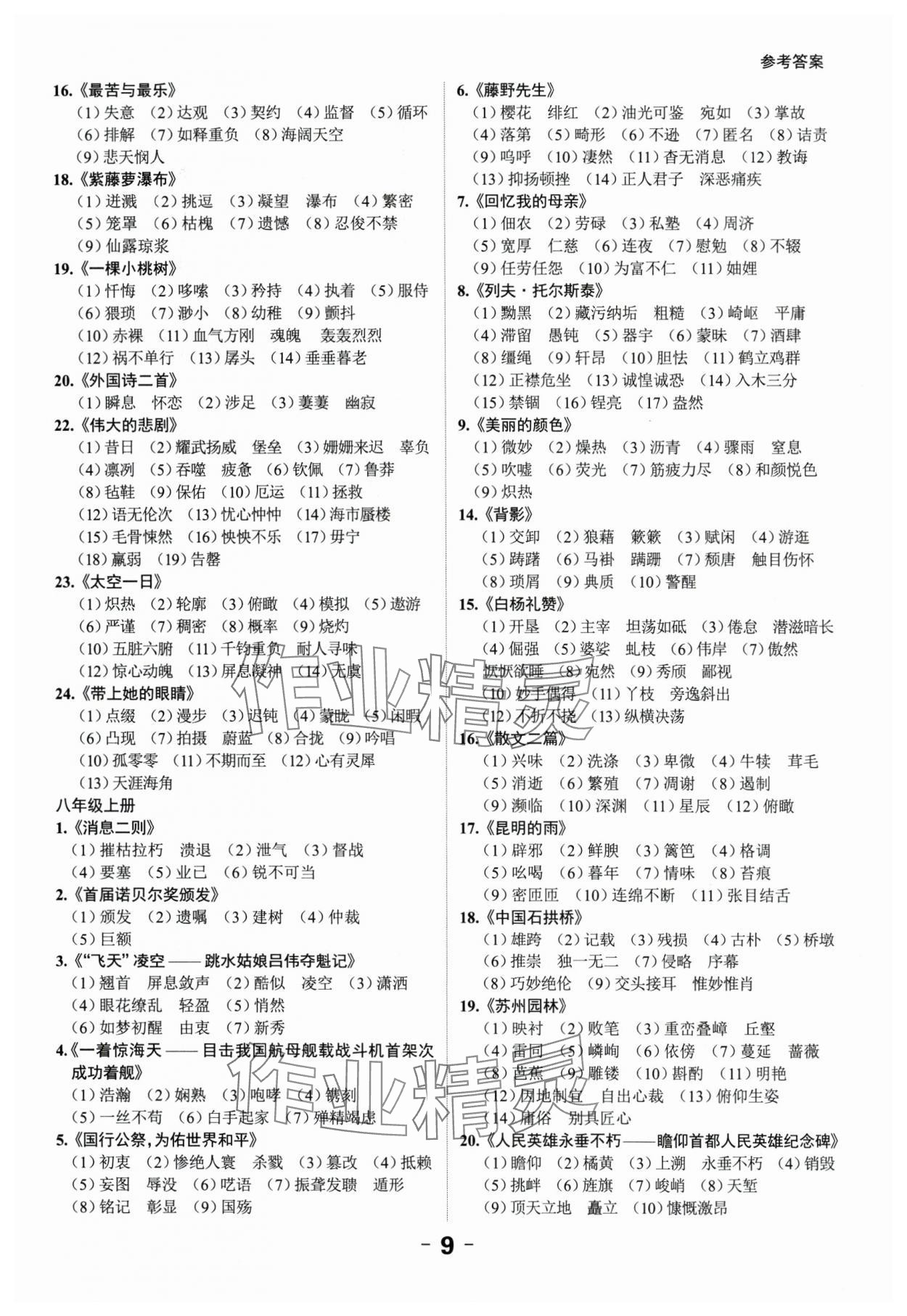 2024年中考突破語文 第9頁