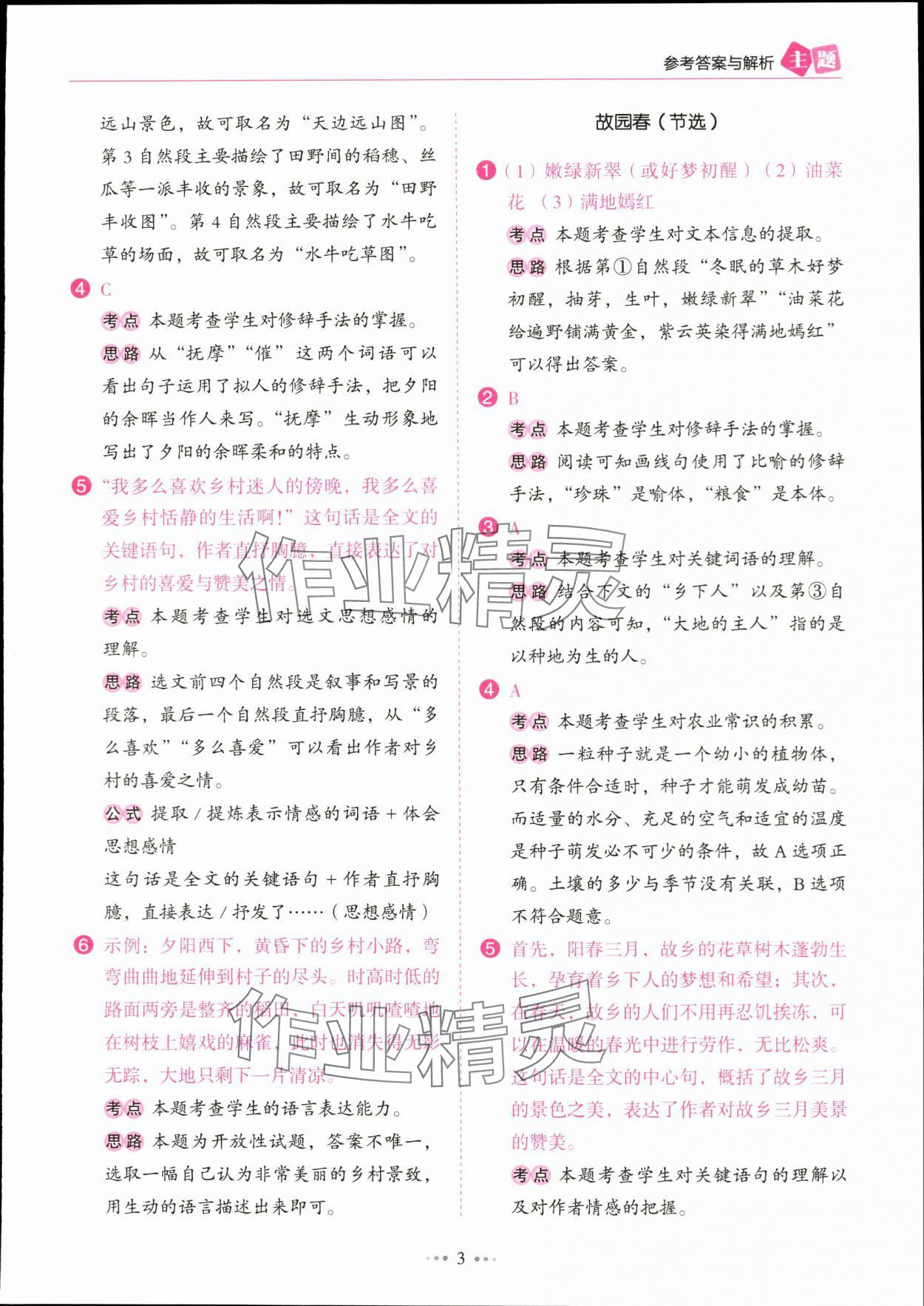2024年主題閱讀訓(xùn)練100分四年級語文下冊人教版浙江專版 參考答案第3頁