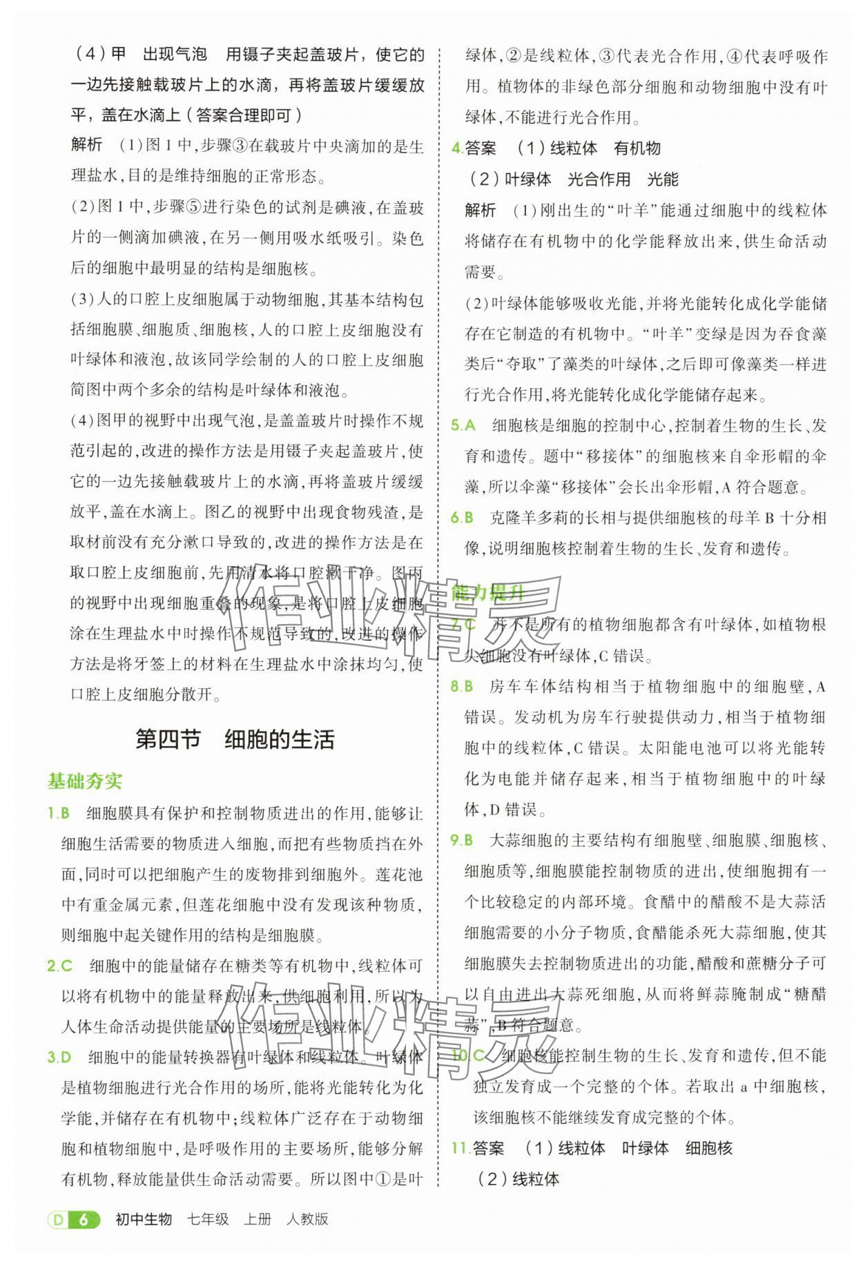 2025年5年中考3年模拟七年级生物上册人教版 参考答案第6页