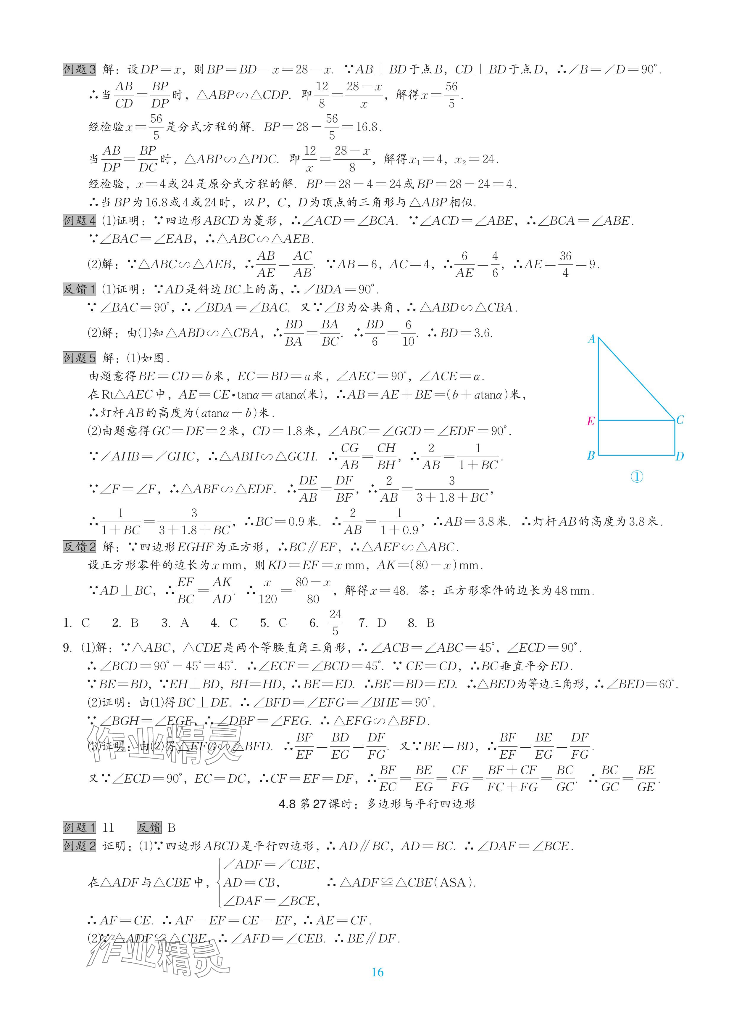 2024年中考复习一本全数学北师大版深圳专版&nbsp;参考答案第16页