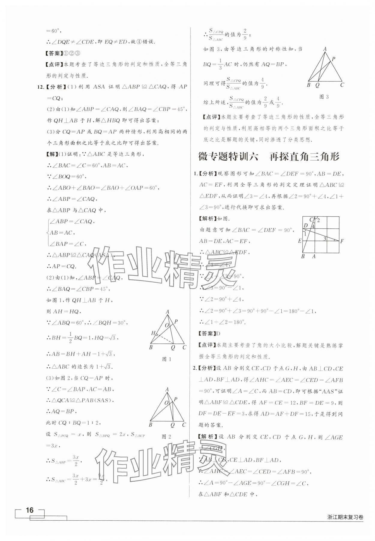 2024年領智優(yōu)選浙江期末復習卷八年級數(shù)學上冊浙教版 第16頁