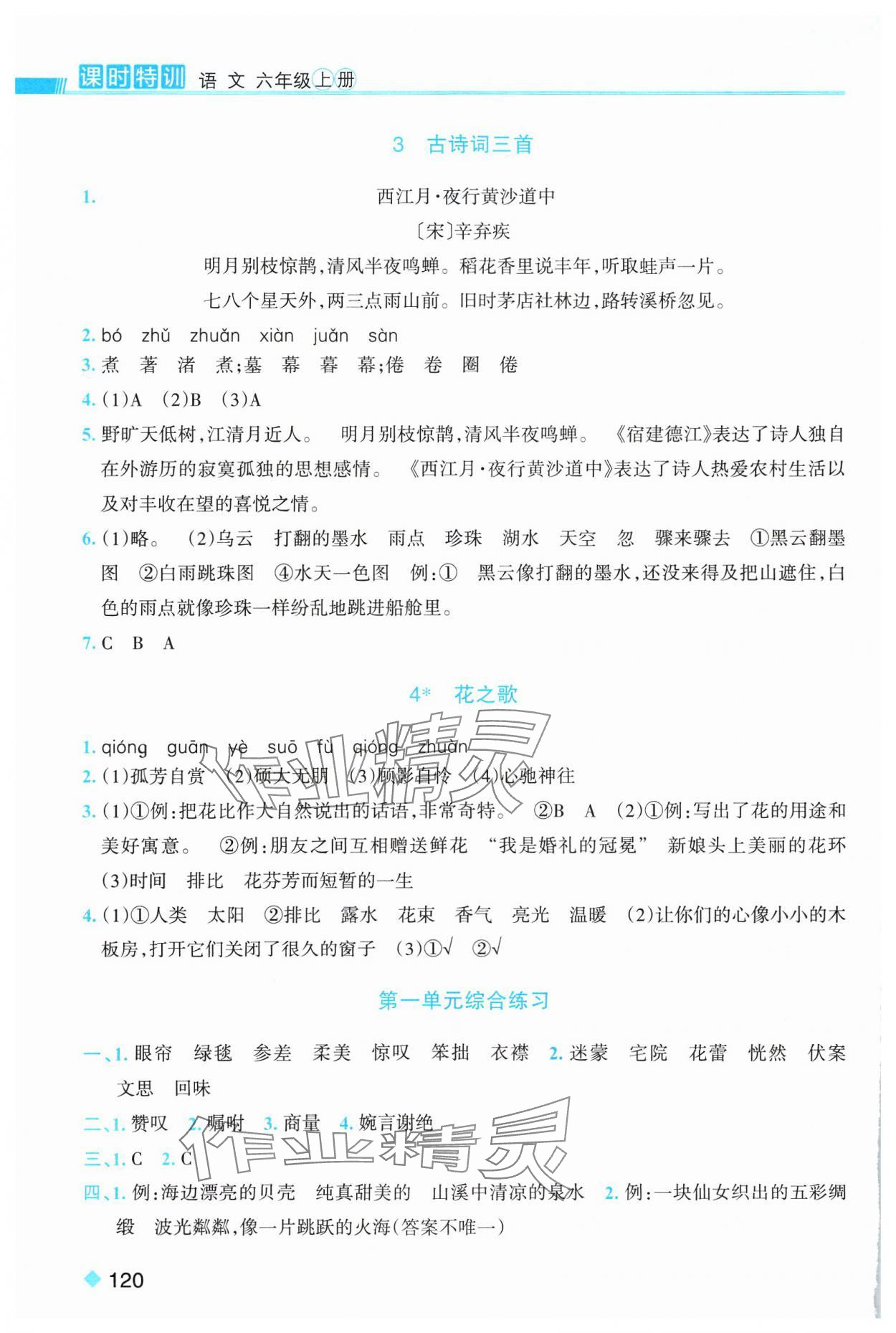 2024年浙江新课程三维目标测评课时特训六年级语文上册人教版 第2页