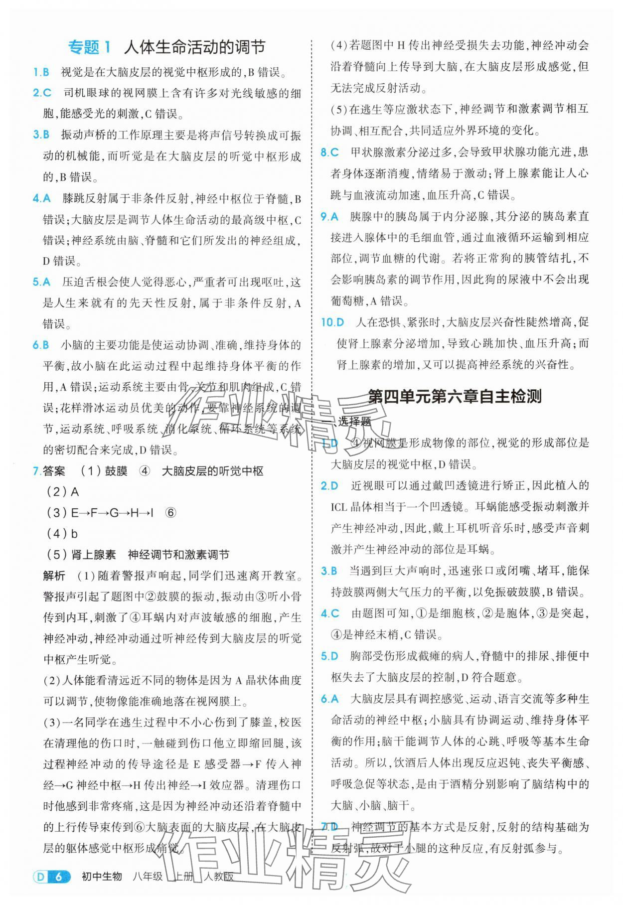 2025年5年中考3年模擬八年級生物上冊人教版 第6頁