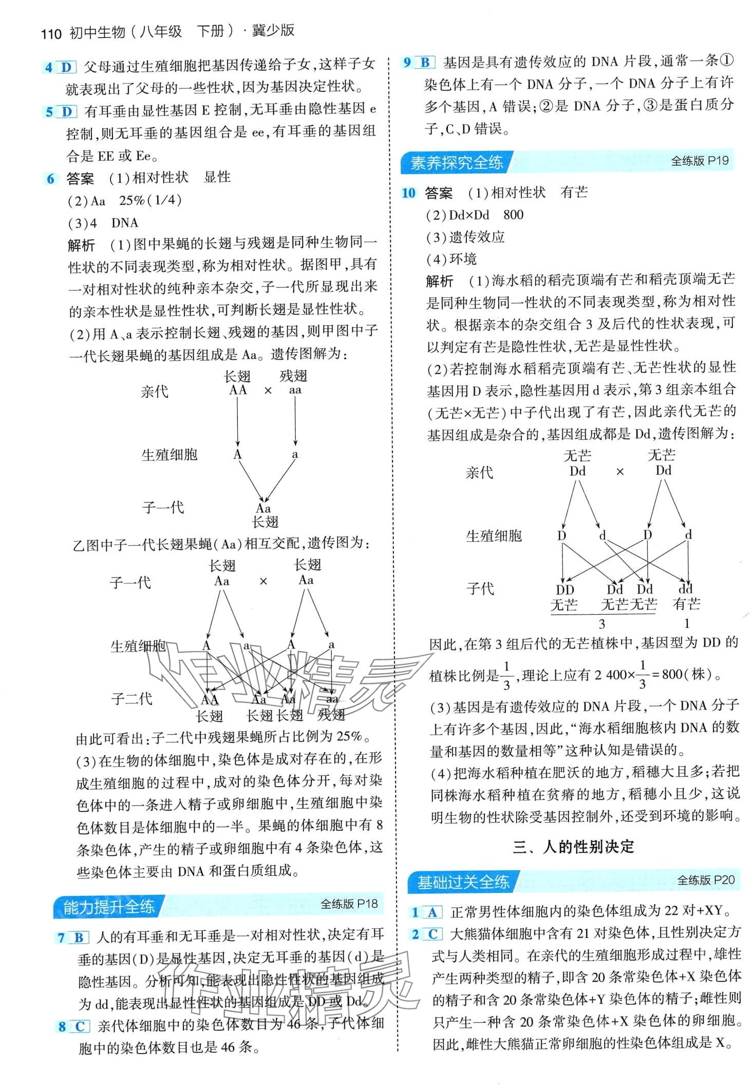 2024年5年中考3年模拟八年级生物下册冀少版 第8页