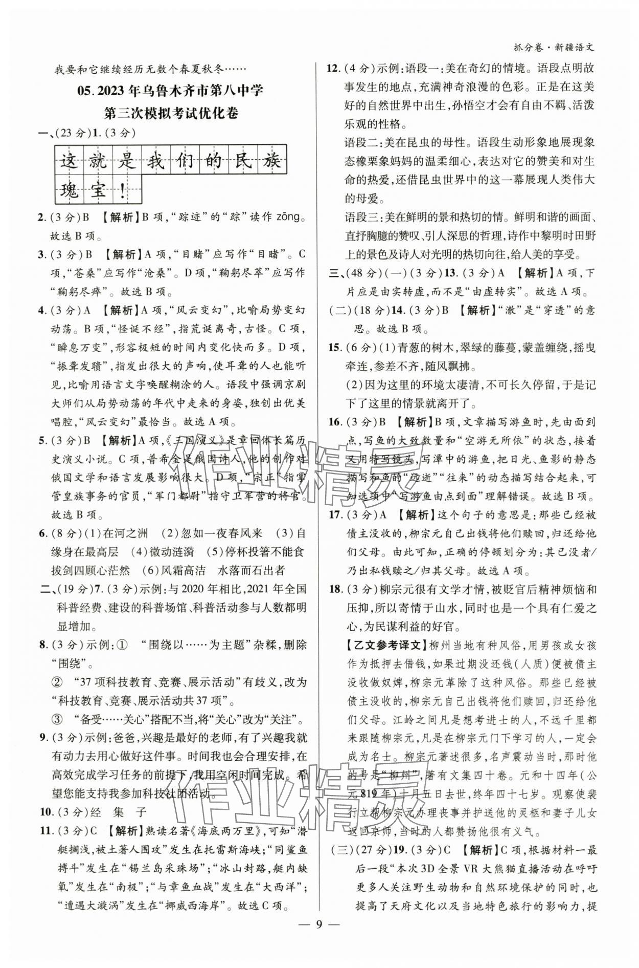 2024年抓分卷语文新疆专版&nbsp;参考答案第8页