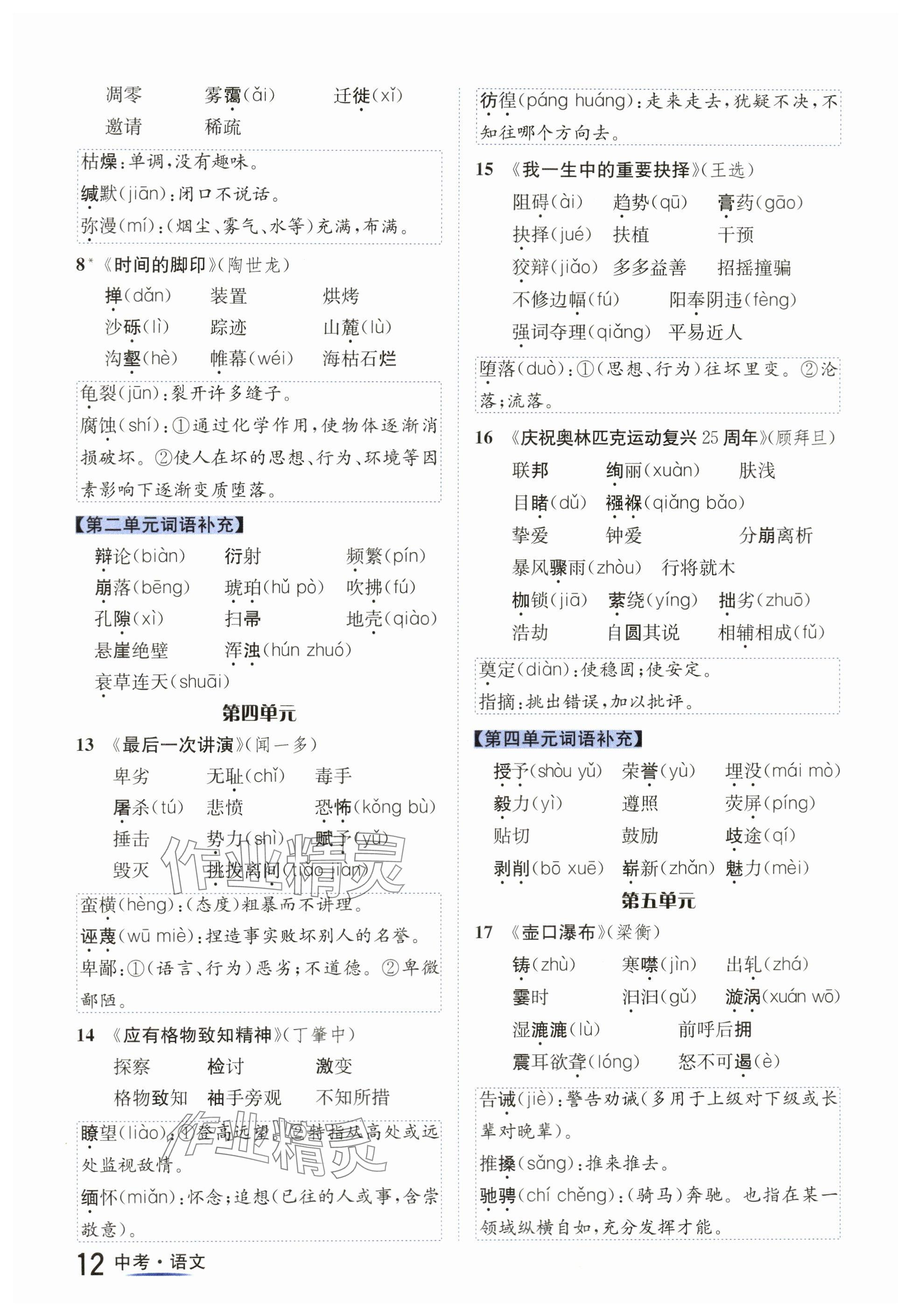 2024年國華圖書中考拐點(diǎn)語文南充專版 參考答案第12頁