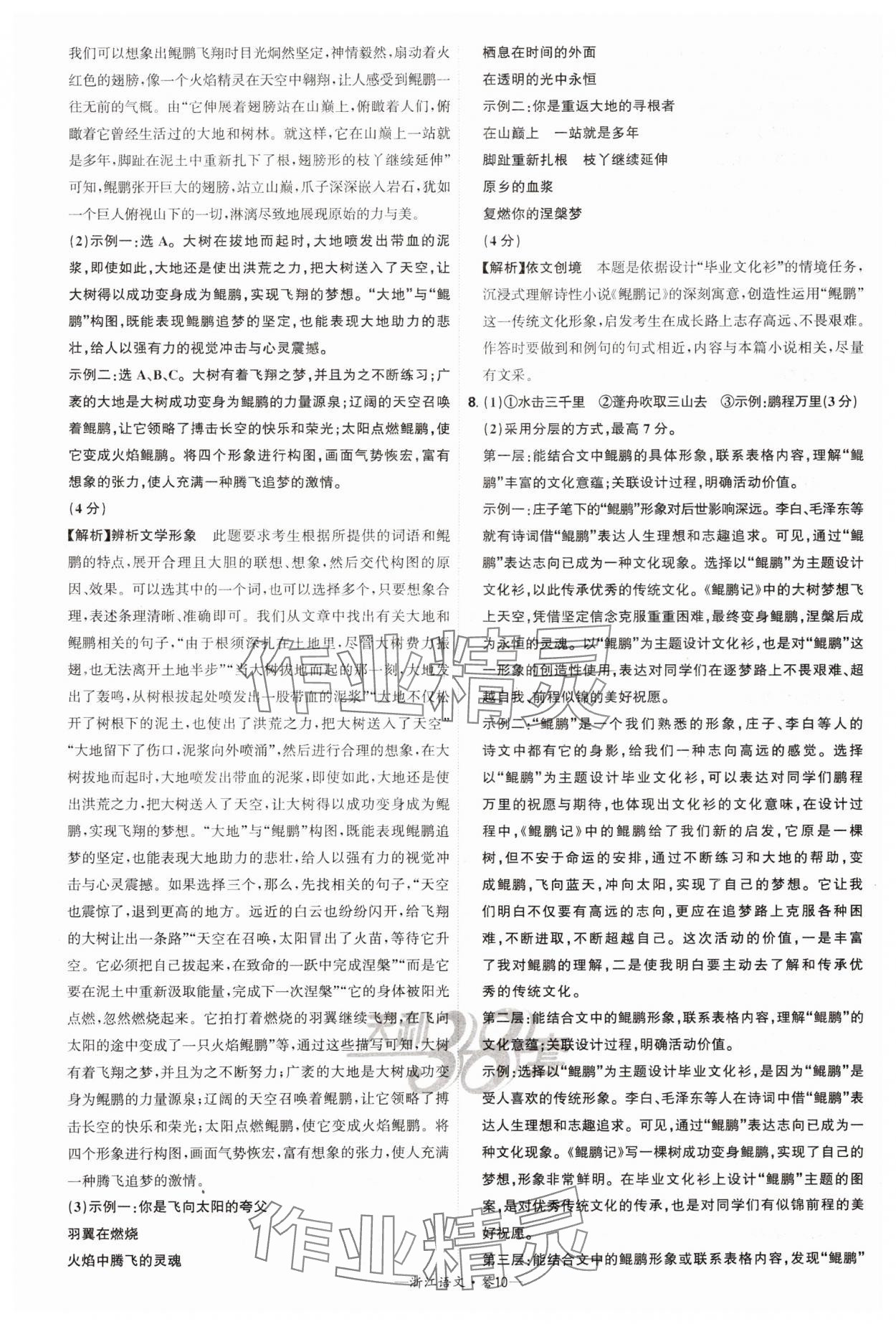 2025年天利38套牛皮卷浙江省中考试题精粹语文 参考答案第10页