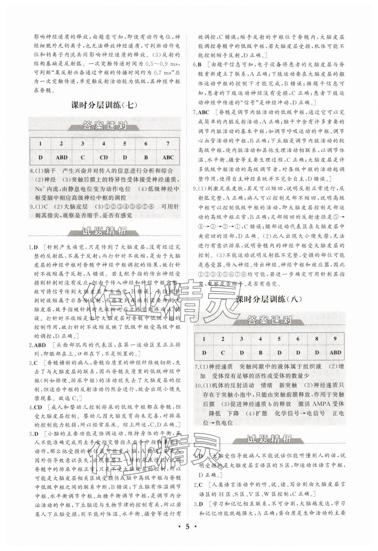 2025年同步練習(xí)冊(cè)分層檢測卷高中生物選擇性必修1人教版 參考答案第5頁
