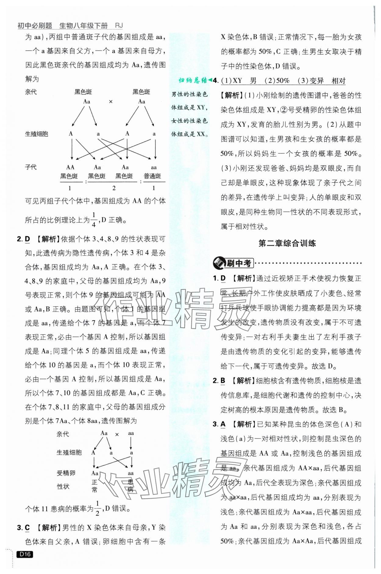 2025年初中必刷題八年級(jí)生物下冊(cè)人教版 參考答案第16頁(yè)