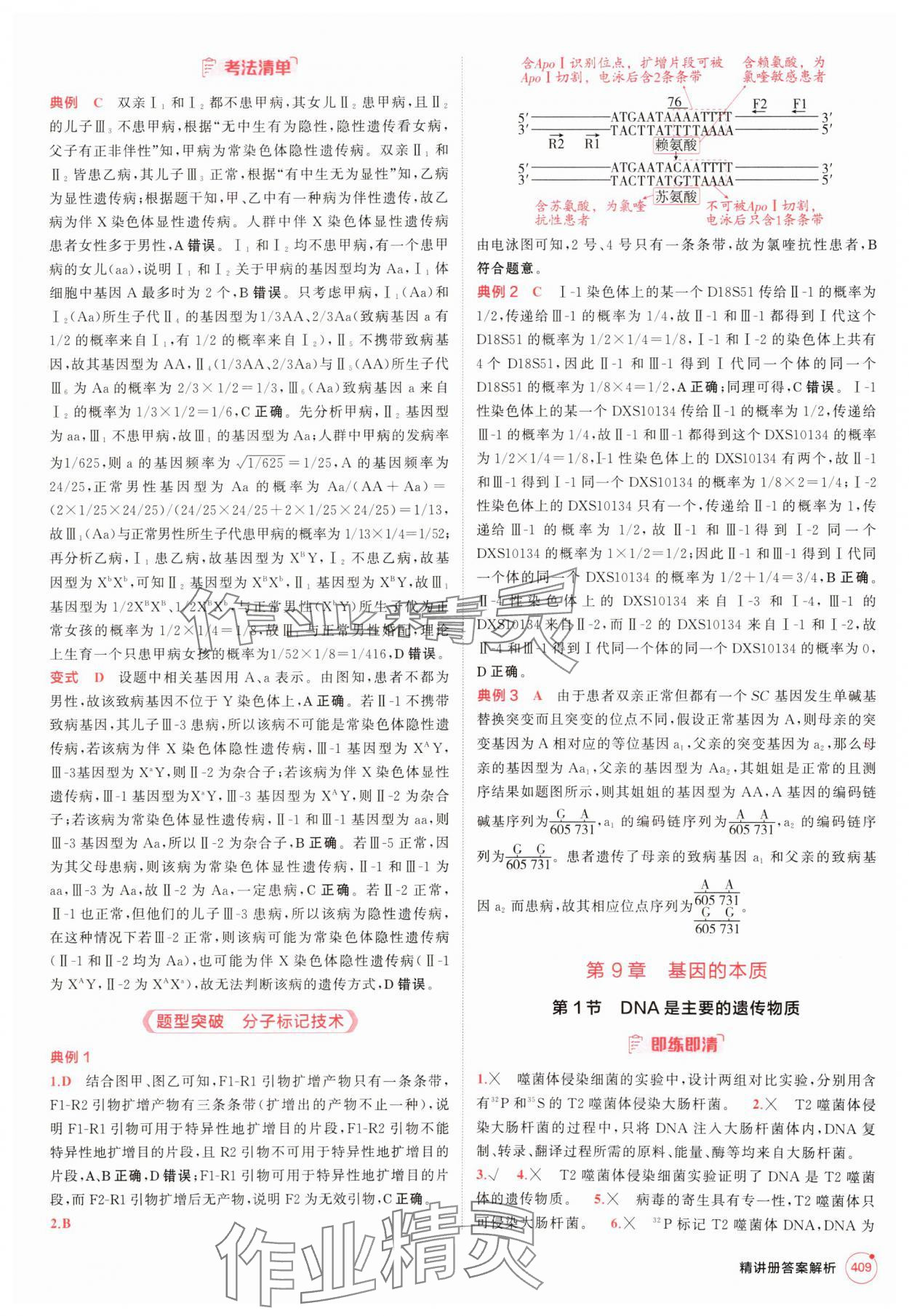 2025年5年高考3年模擬高中生物人教版 參考答案第9頁