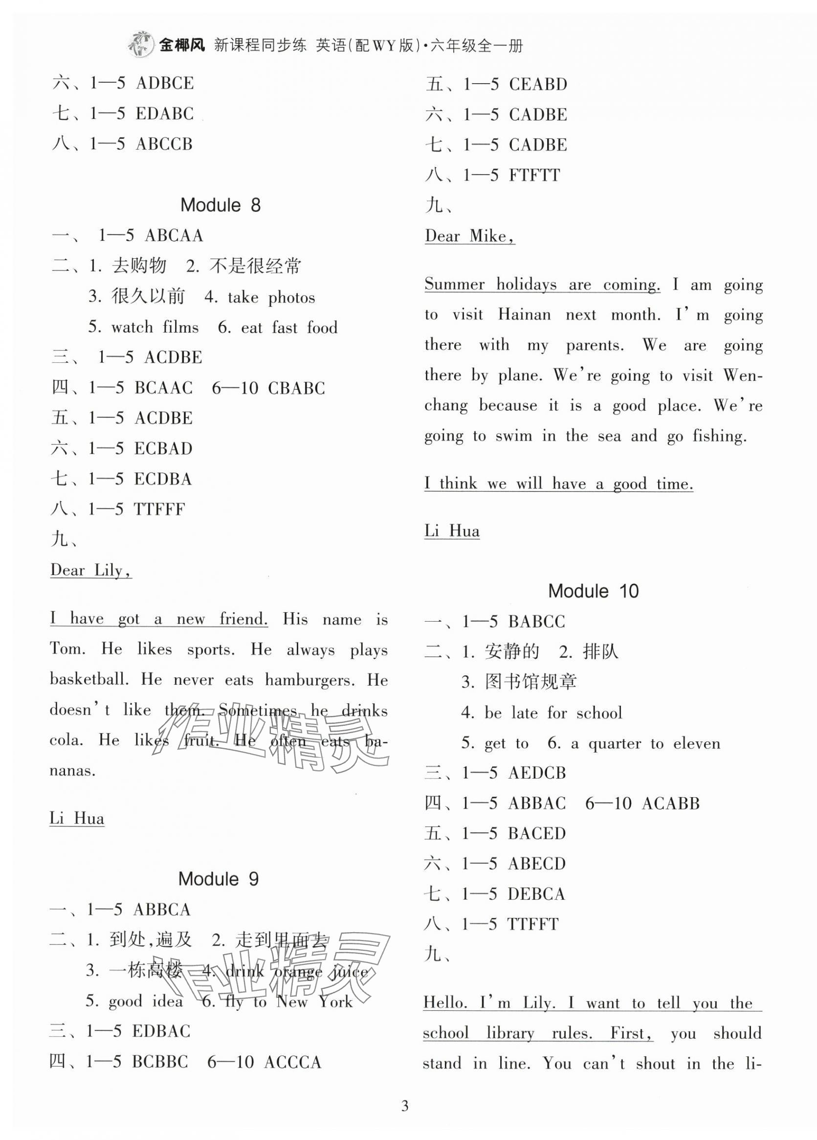 2025年金椰风新课程同步练六年级英语全一册外研版 第3页