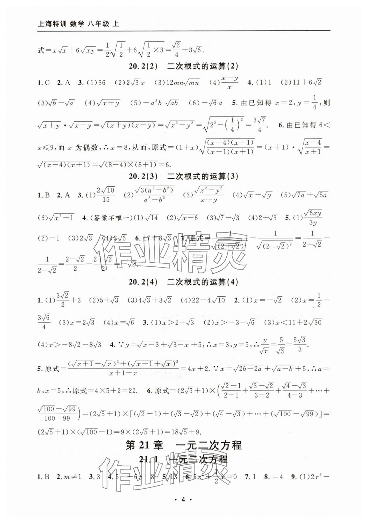 2025年上海特训八年级数学上册沪教版54制 参考答案第4页