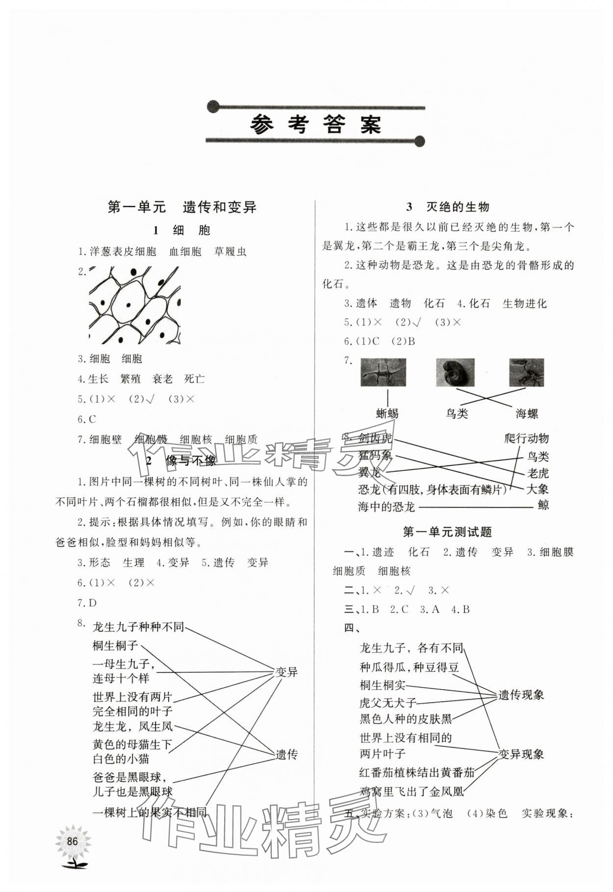 2023年同步練習(xí)山東文藝出版社六年級(jí)科學(xué)上冊(cè)青島版 參考答案第1頁