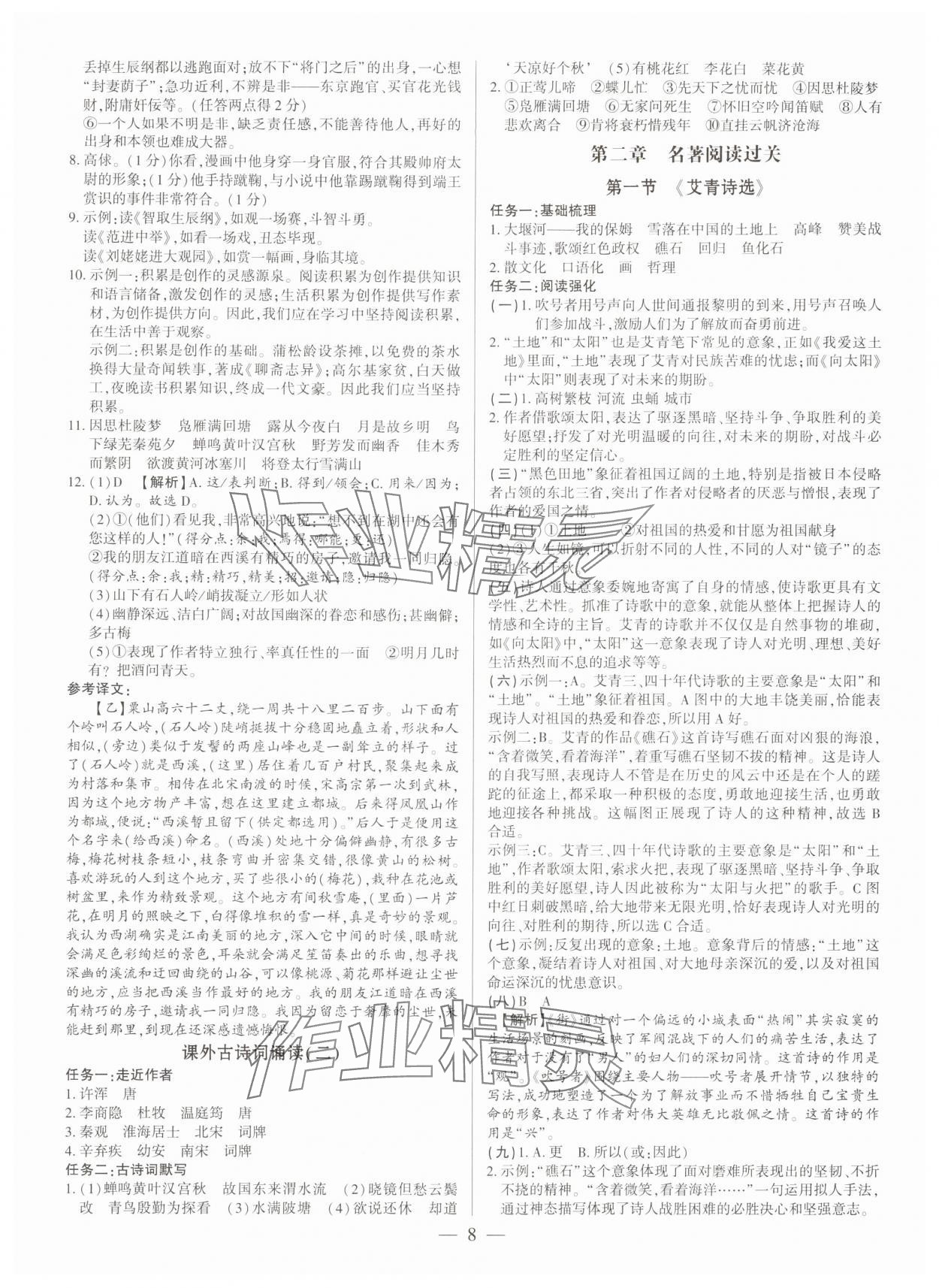 2024年基礎(chǔ)精練九年級語文全一冊人教版深圳專版 參考答案第8頁