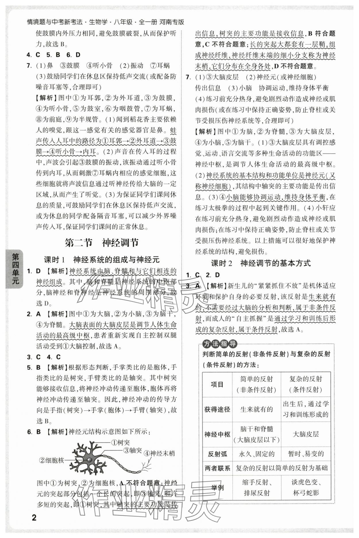 2025年万唯中考情境题八年级生物上册人教版河南专版 参考答案第2页