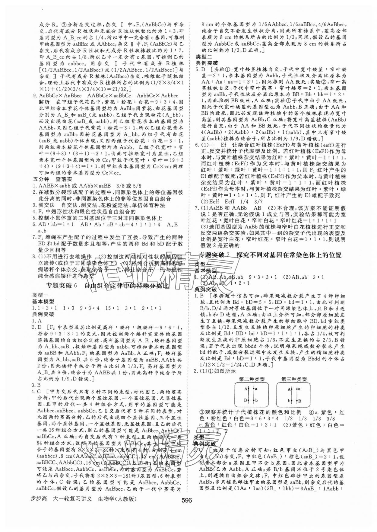 2025年步步高大一輪復(fù)習(xí)講義生物人教版 第20頁