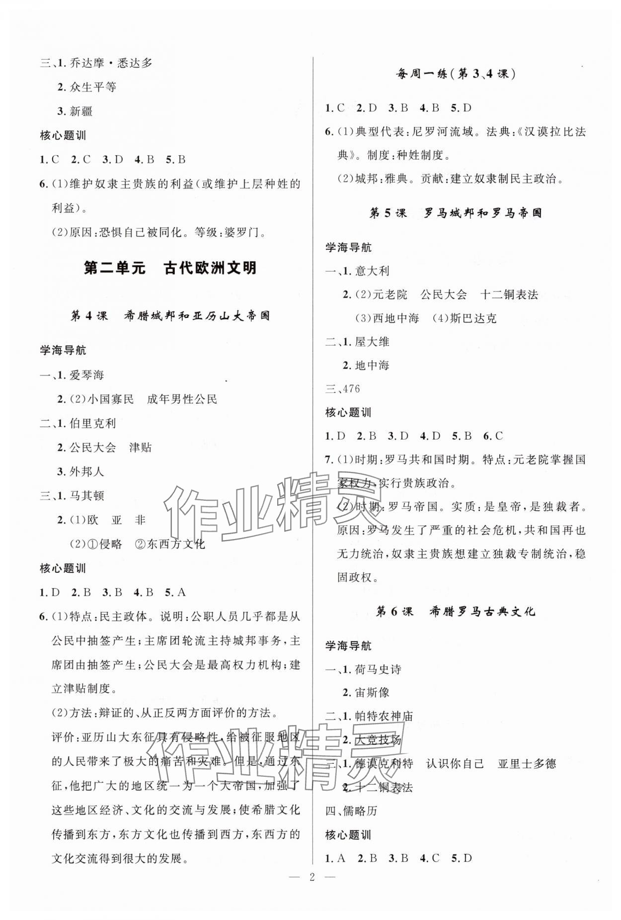 2025年顶尖课课练九年级历史上册人教版贵州专版 第2页