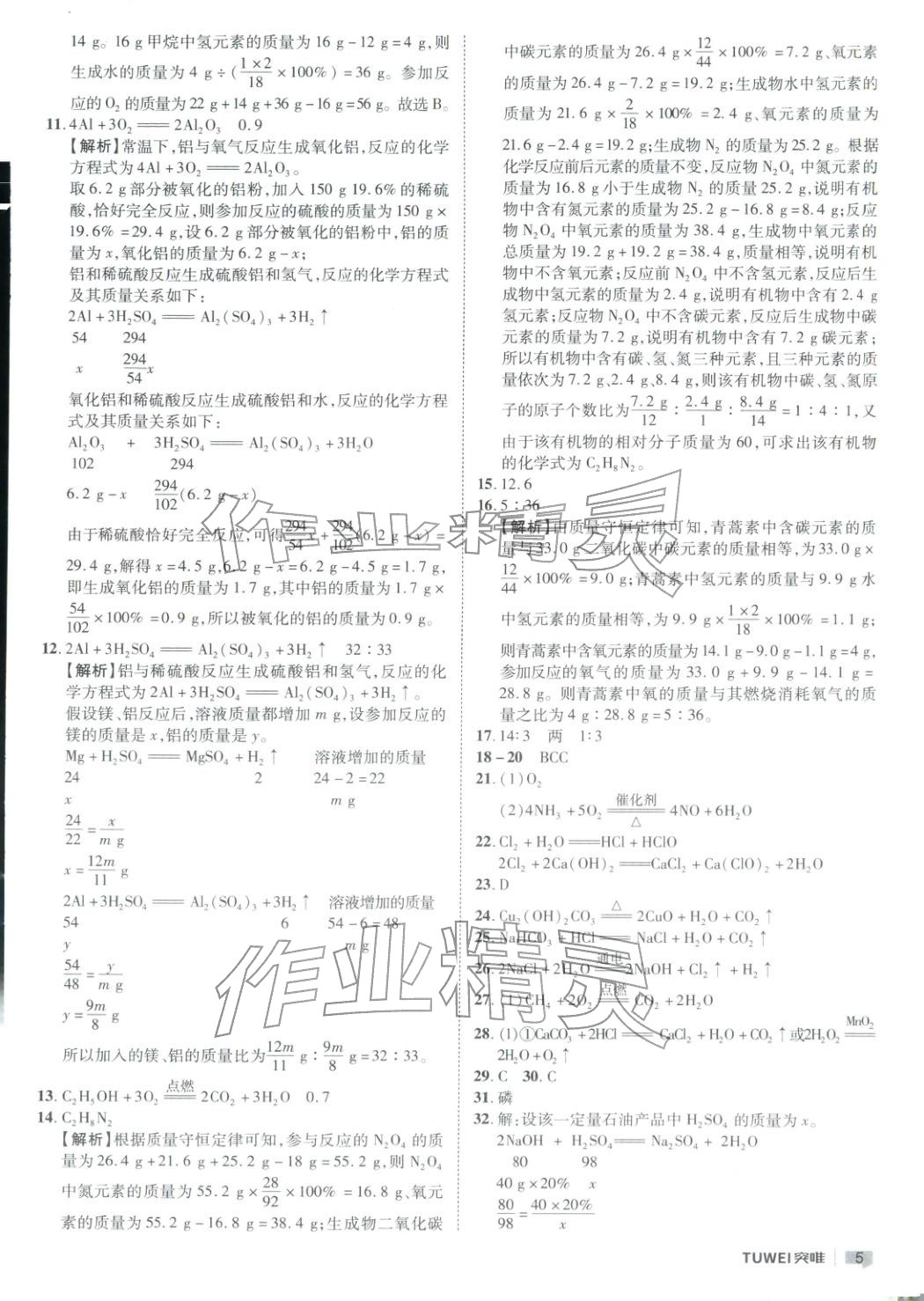 2026年突唯中考中考总复习九年级化学全一册通用版河南专版&nbsp;第5页