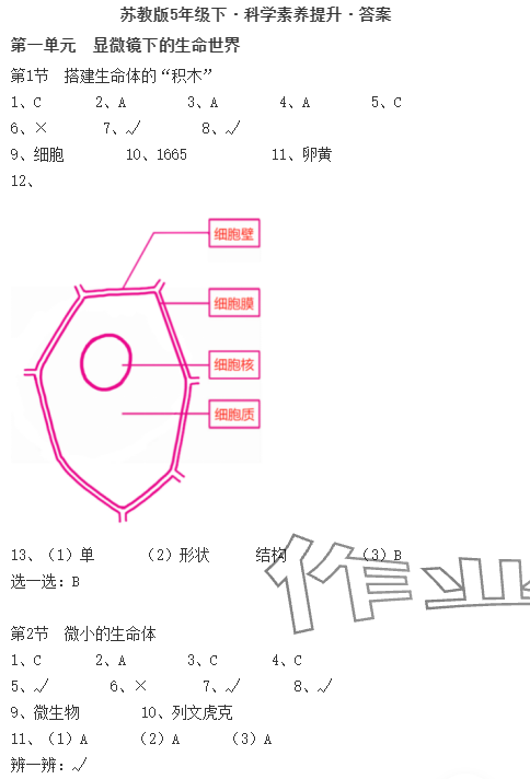 2024年科學(xué)素養(yǎng)提升五年級(jí)下冊(cè)蘇教版 參考答案第1頁(yè)