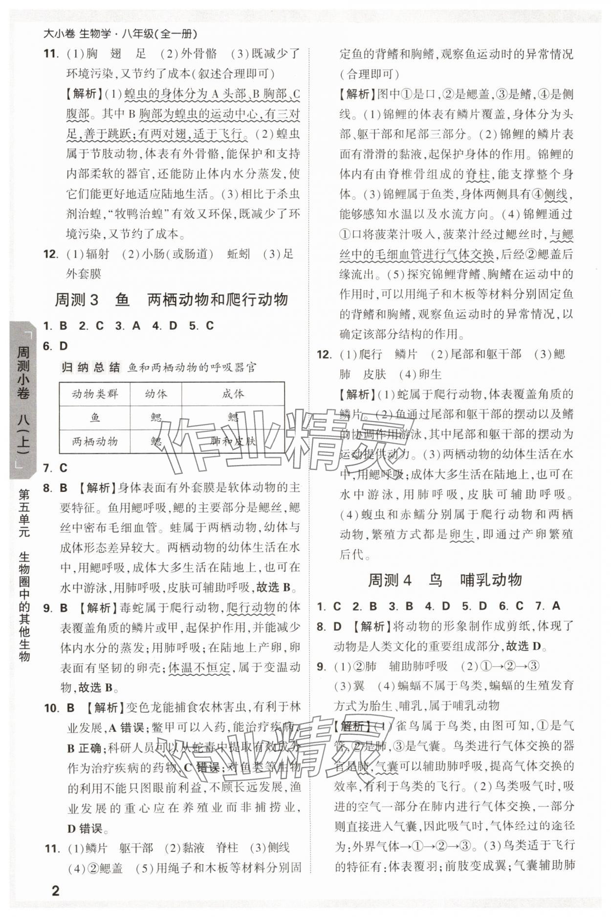 2024年萬唯中考大小卷生物中考 參考答案第2頁