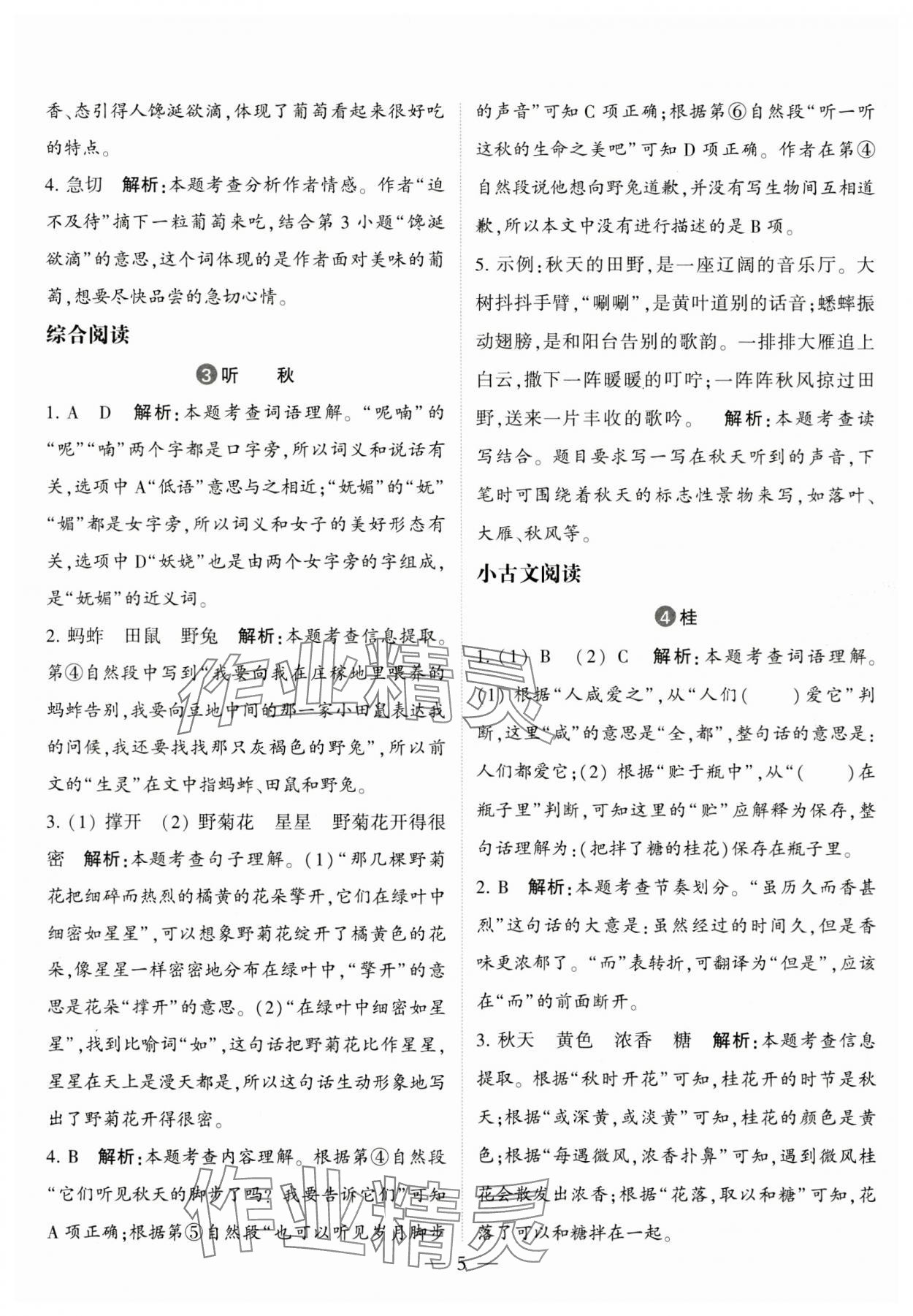 2023年經(jīng)綸學典同步閱讀三年級語文上冊人教版 第5頁