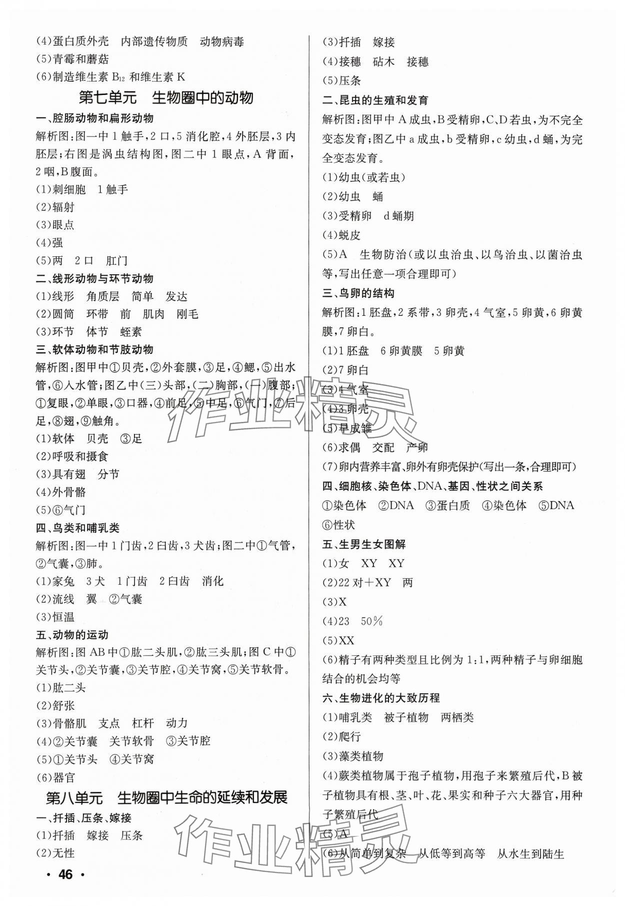 2024年中考對策生物魯科版 第4頁
