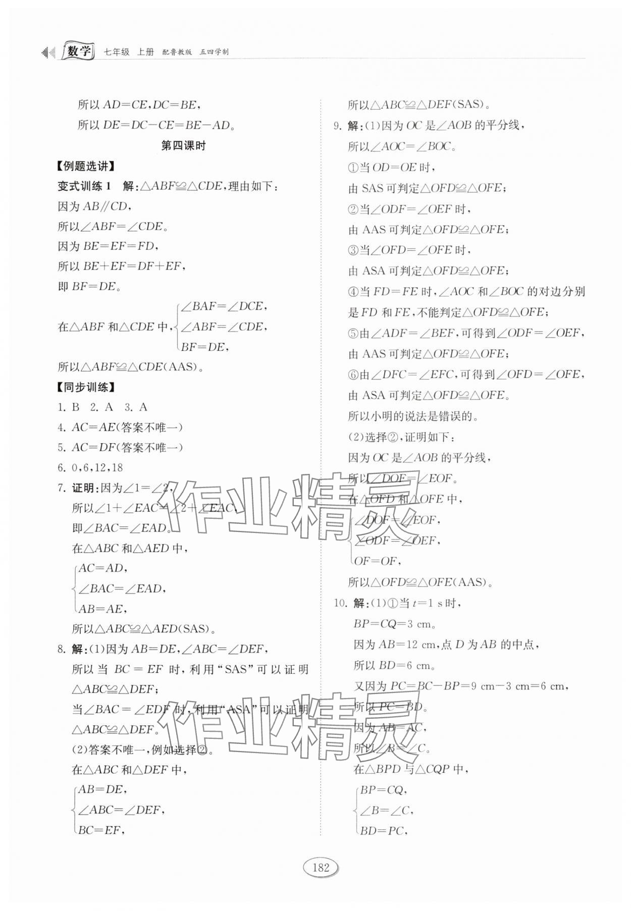 2025年同步练习册山东科学技术出版社七年级数学上册鲁教版五四制 参考答案第10页
