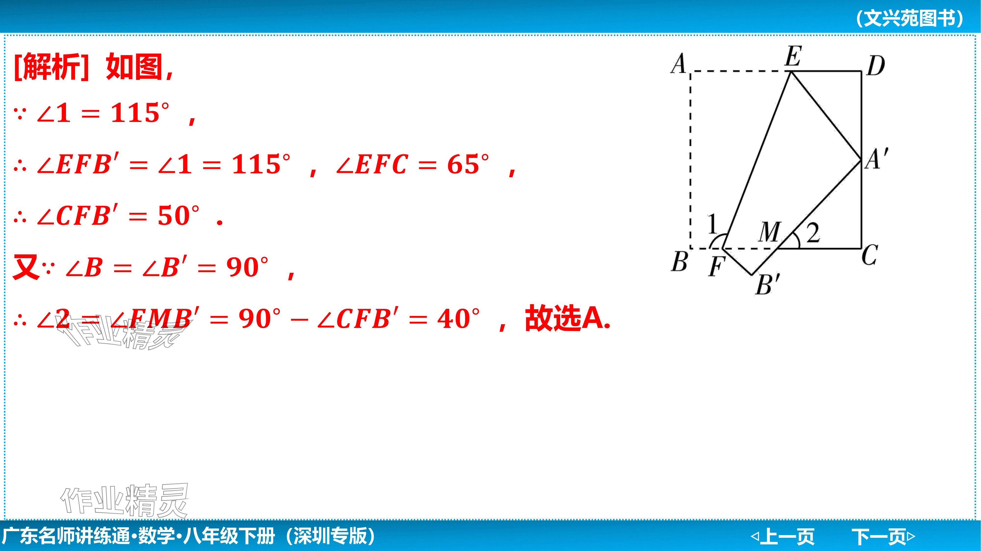 2024年廣東名師講練通八年級數學下冊北師大版深圳專版基礎版 參考答案第11頁