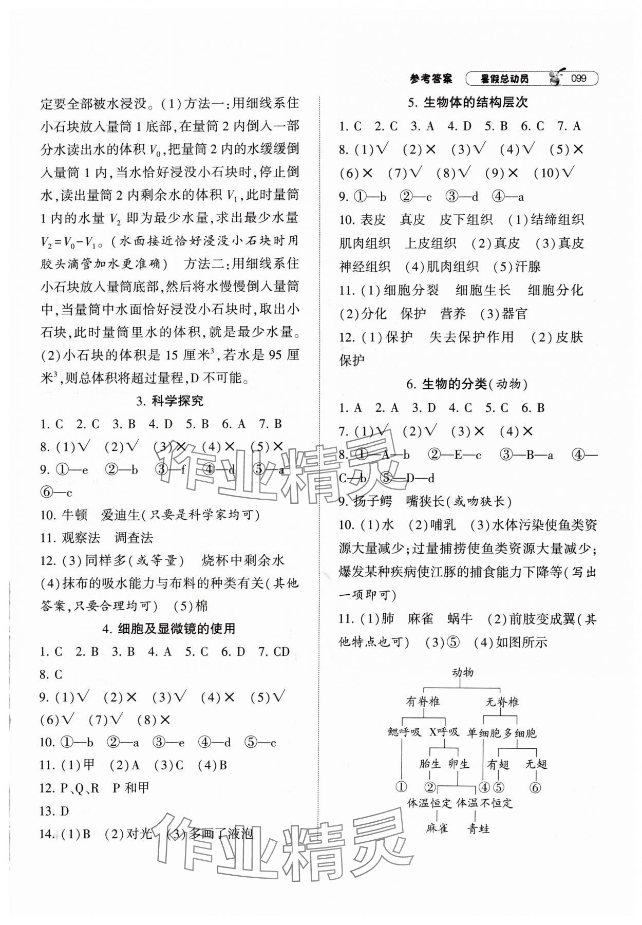 2024年暑假总动员宁夏人民教育出版社七年级科学浙教版 参考答案第2页