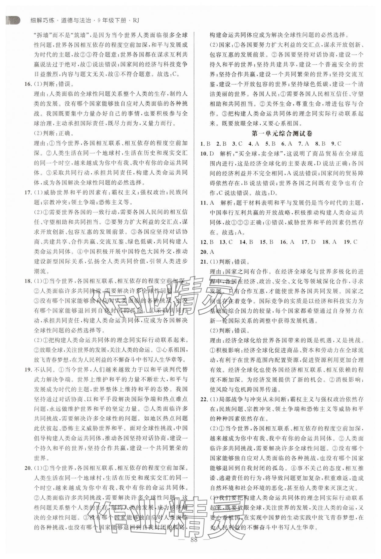 2025年細(xì)解巧練九年級道德與法治下冊人教版 第4頁