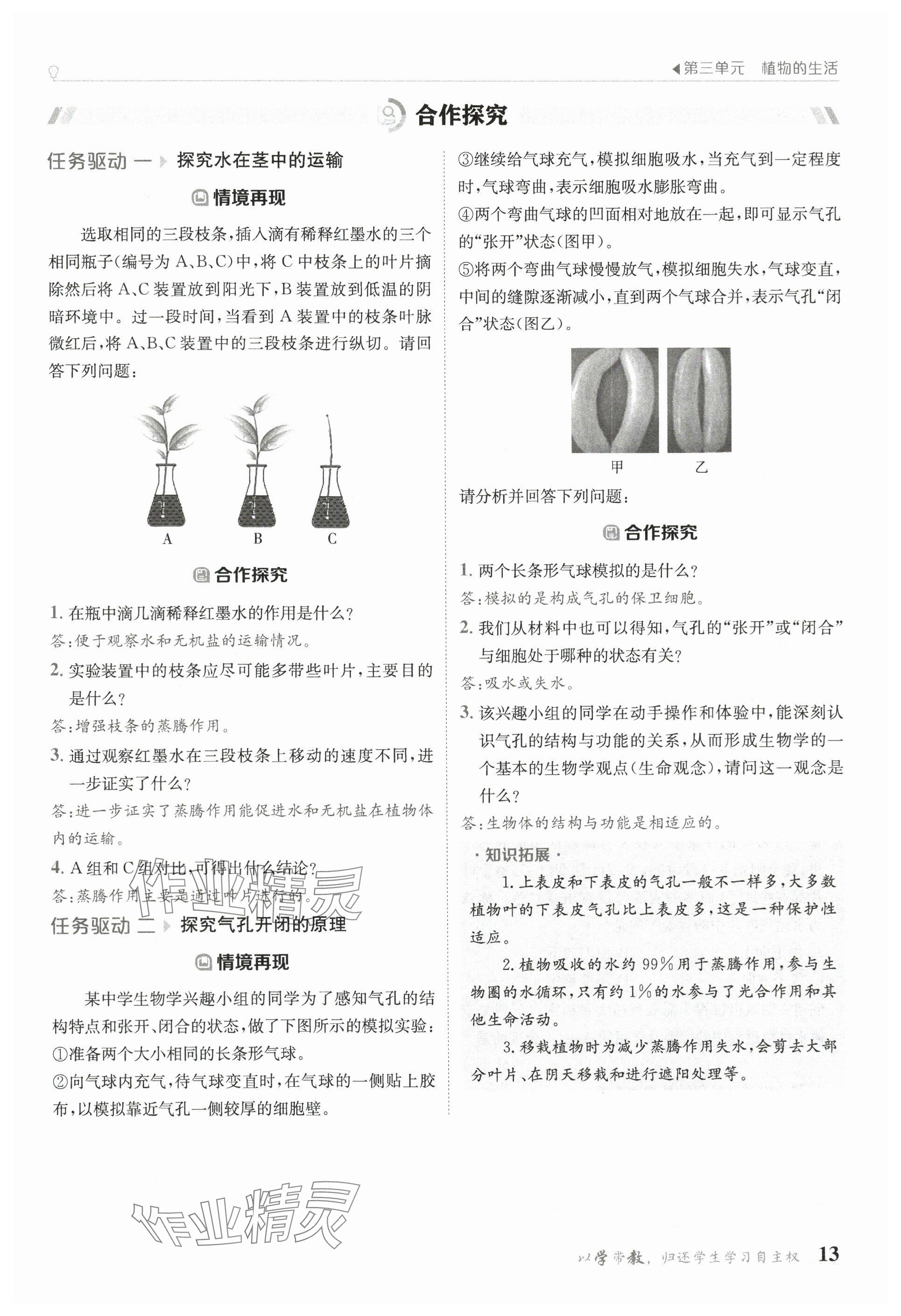 2025年金太陽導(dǎo)學(xué)案七年級(jí)生物下冊(cè)人教版 參考答案第13頁