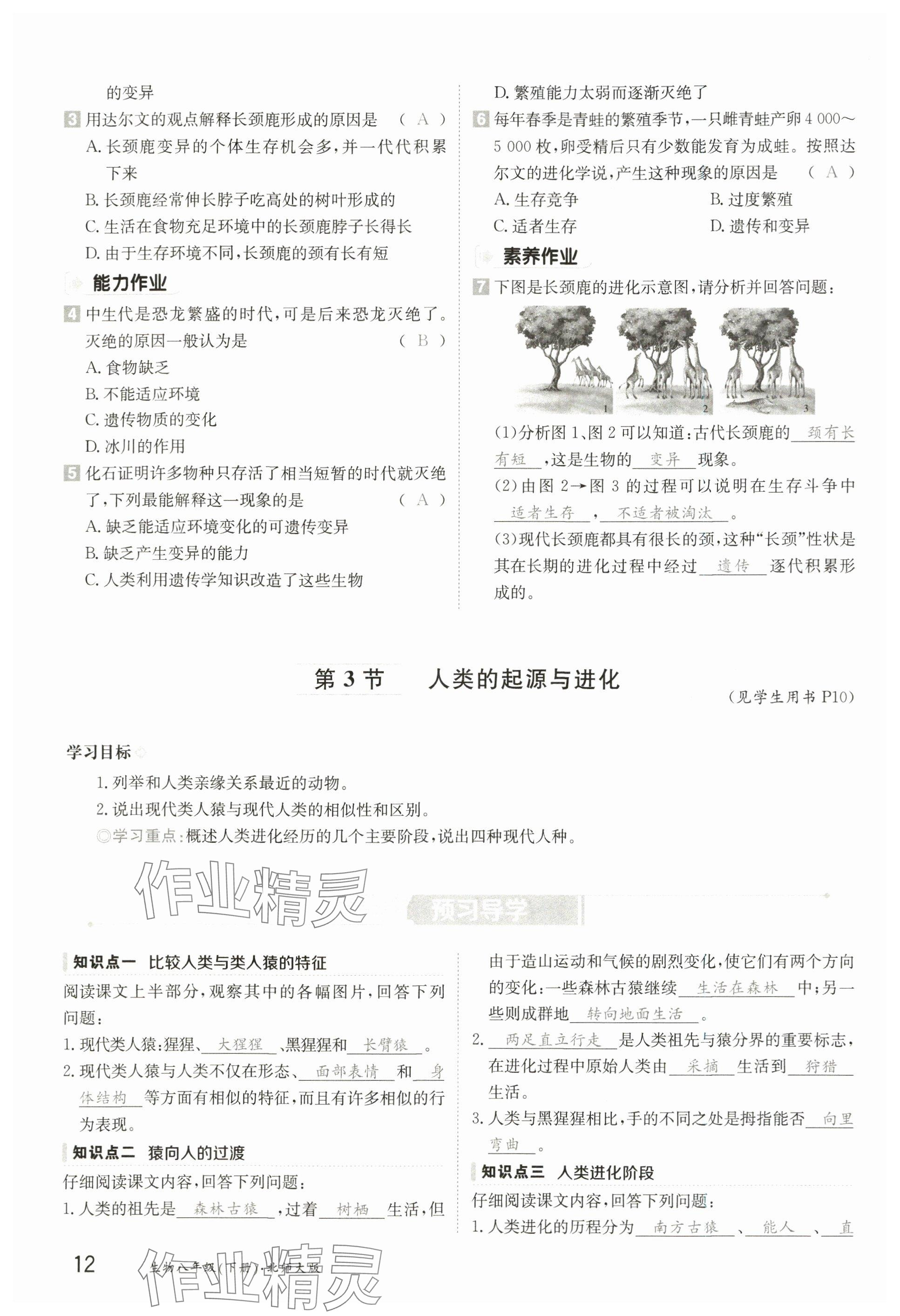2025年金太陽導學案八年級生物下冊北師大版 參考答案第11頁