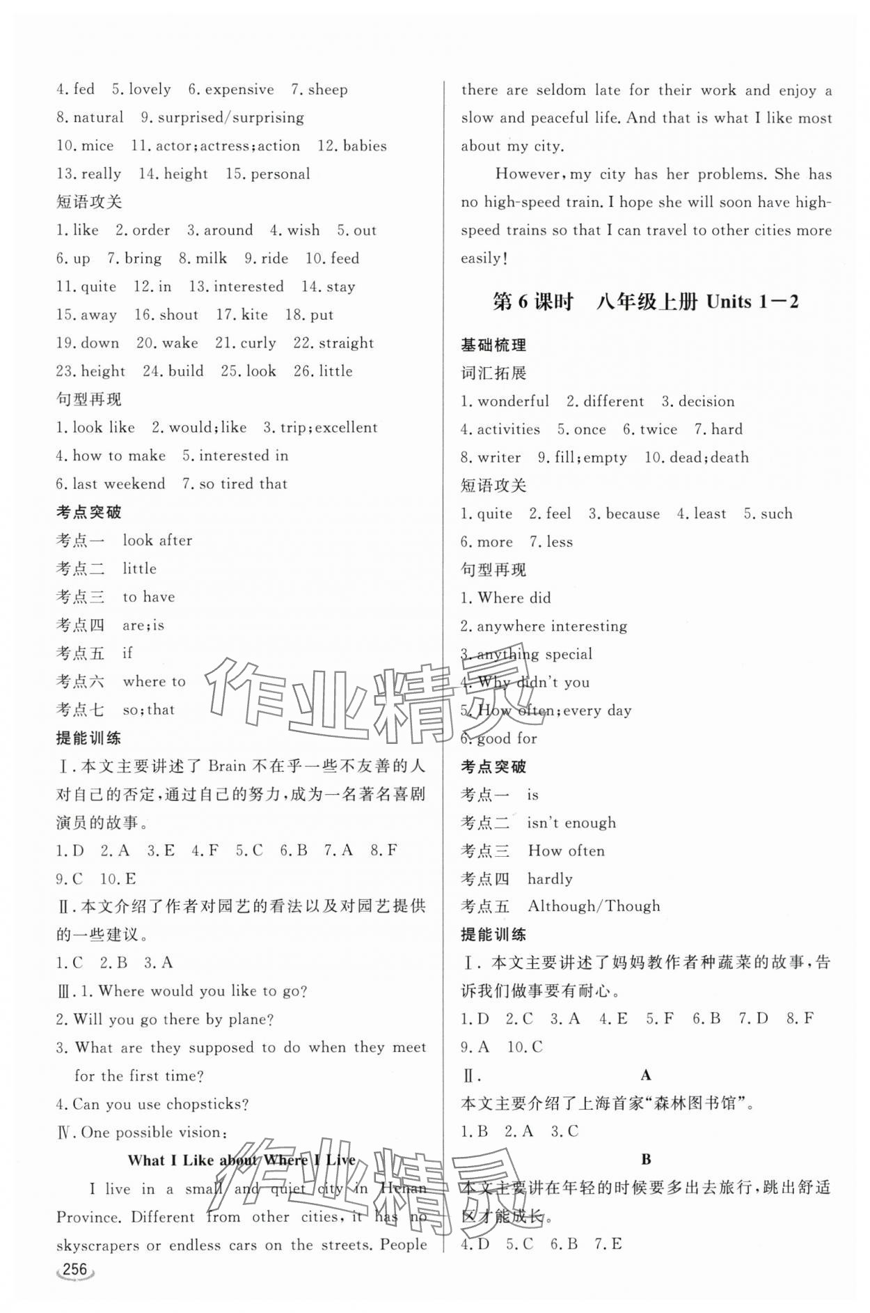 2024年初中學(xué)業(yè)水平考試備考指導(dǎo)英語臨沂專版&nbsp;參考答案第4頁