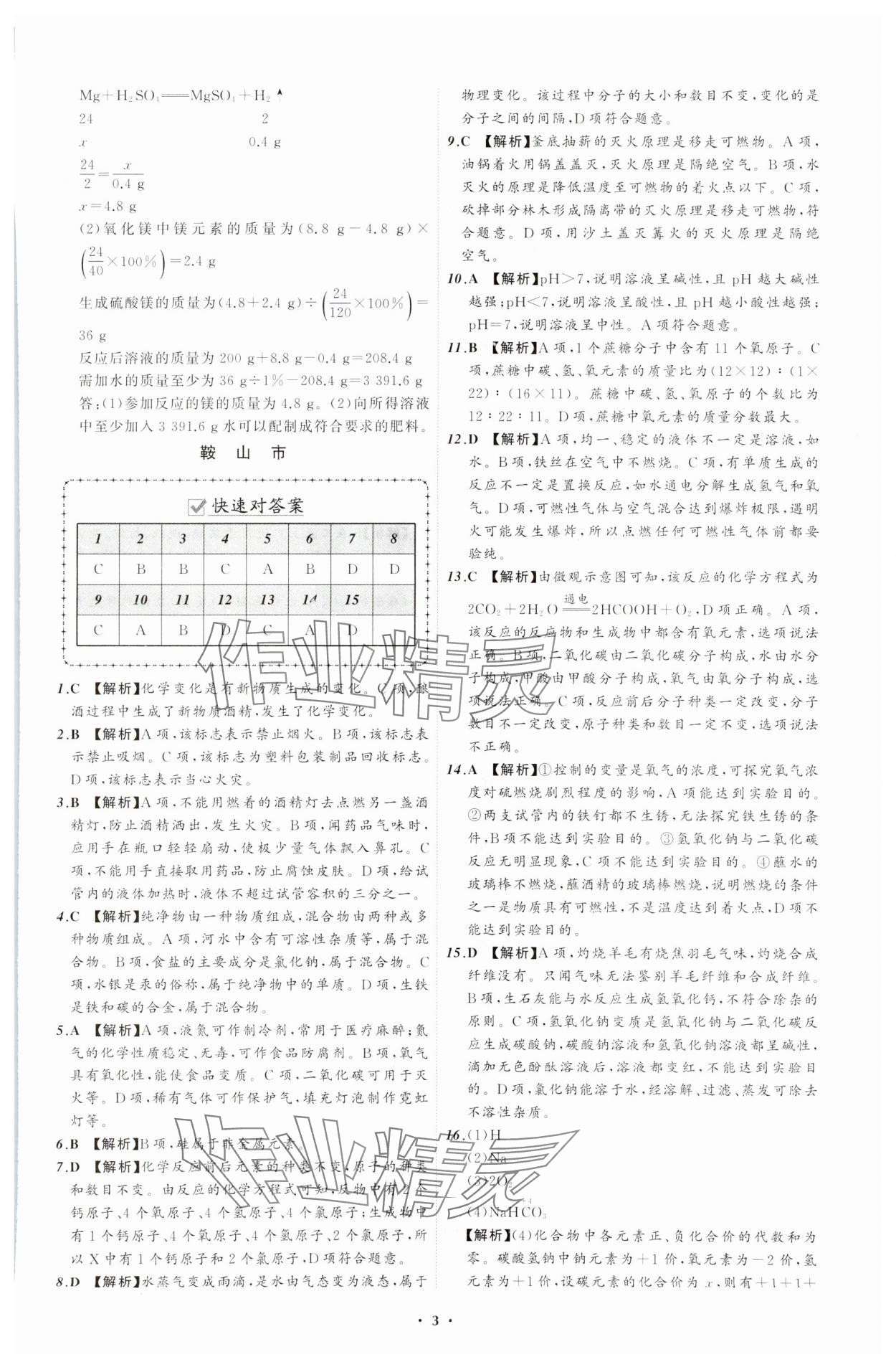 2024年中考必備遼寧師范大學出版社化學遼寧專版 參考答案第3頁