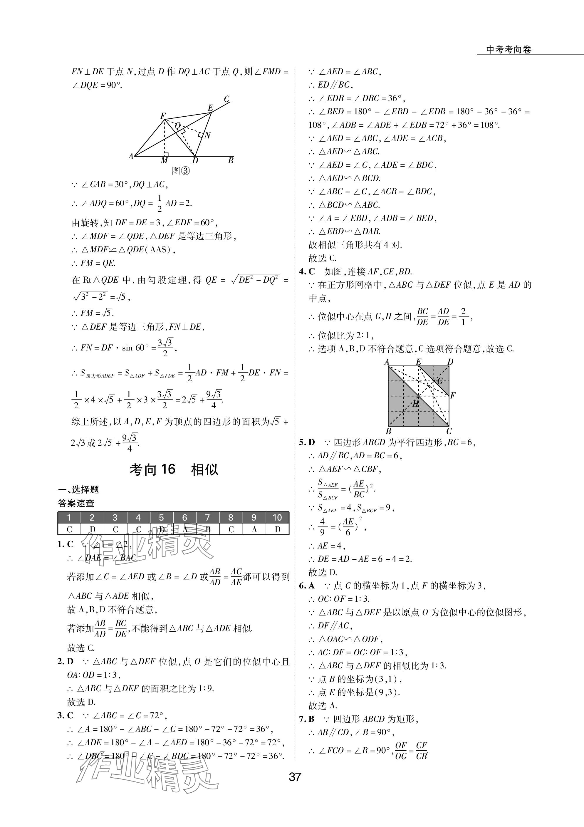 2024年5年中考试卷数学包头专版 参考答案第37页