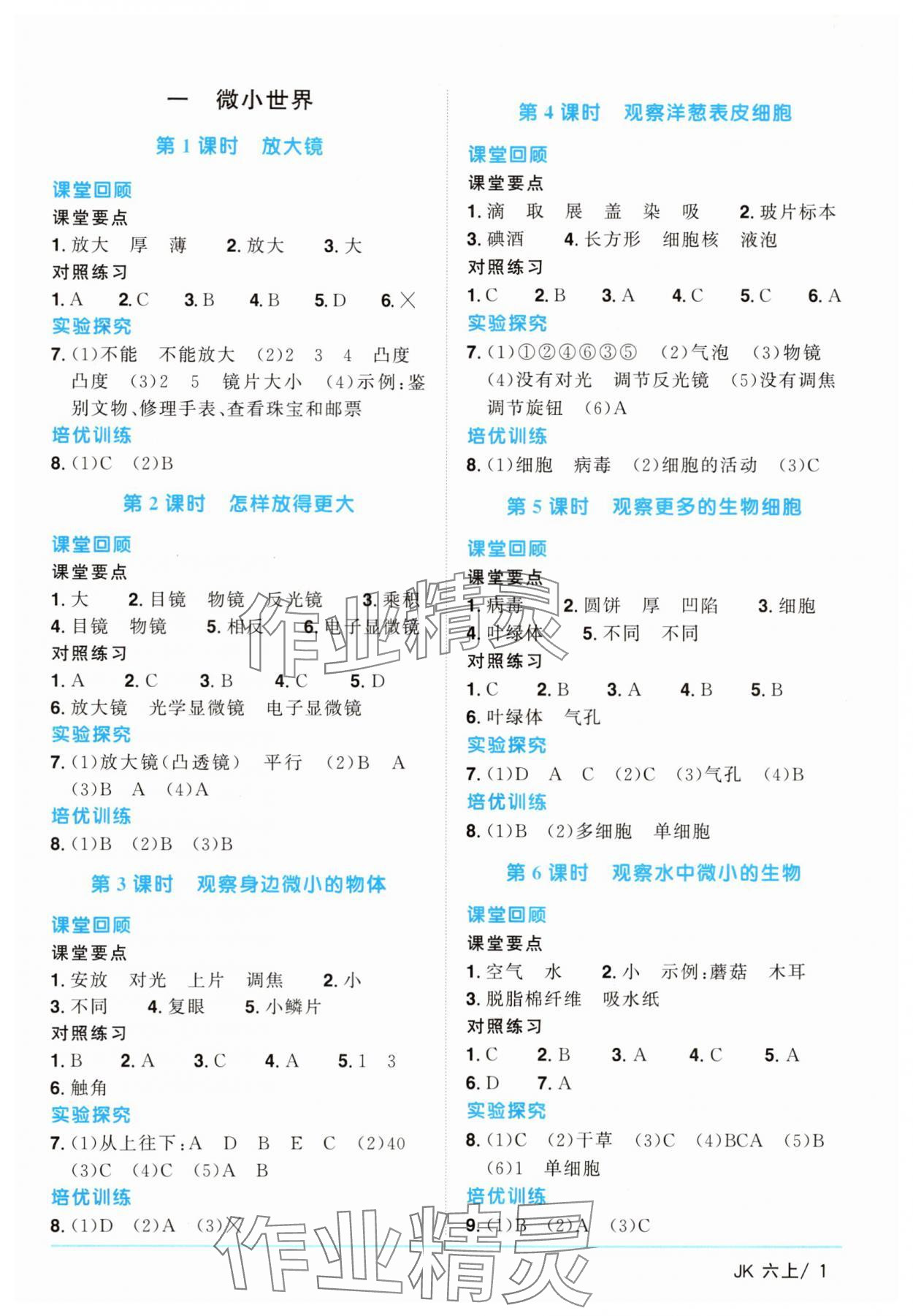 2025年阳光同学课时优化作业六年级科学上册教科版 第1页
