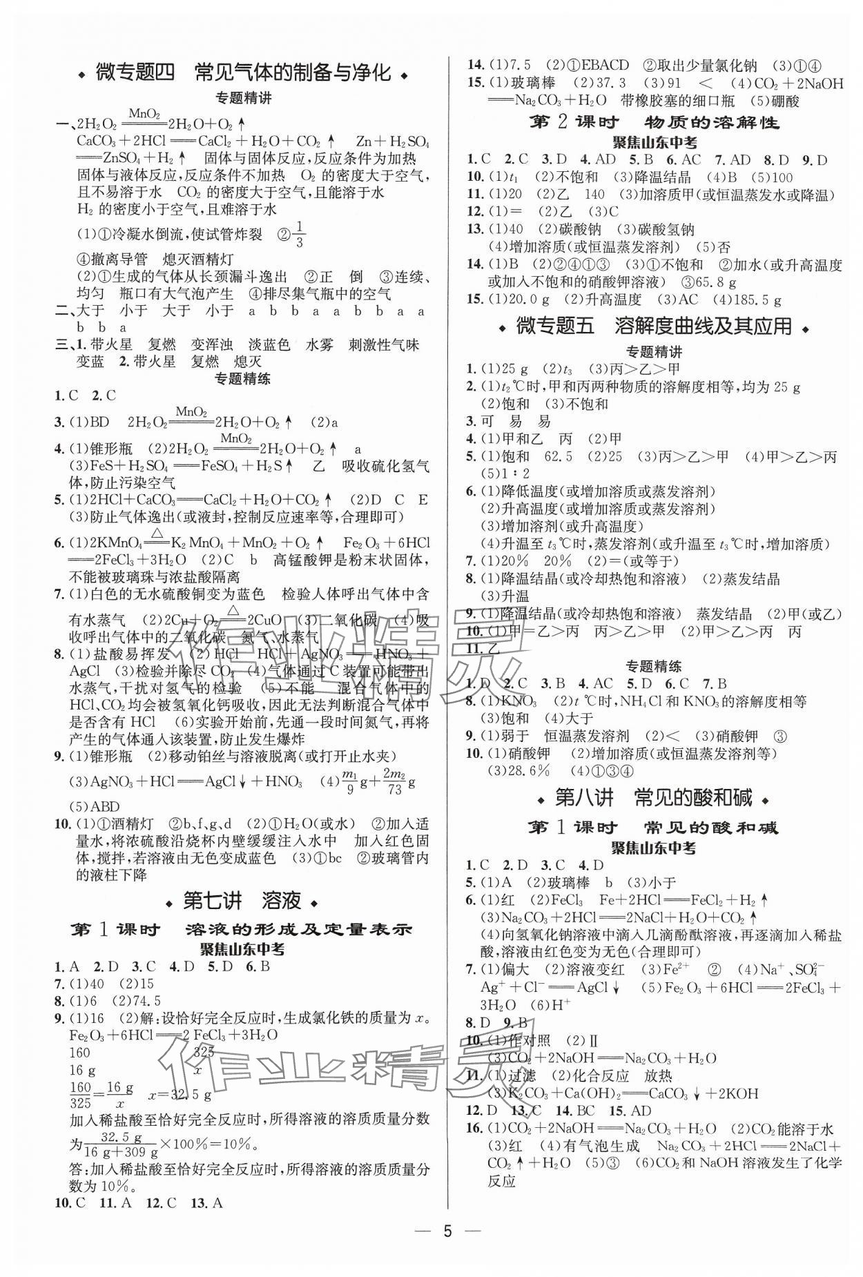 2024年中考對策化學(xué)魯教版 參考答案第5頁