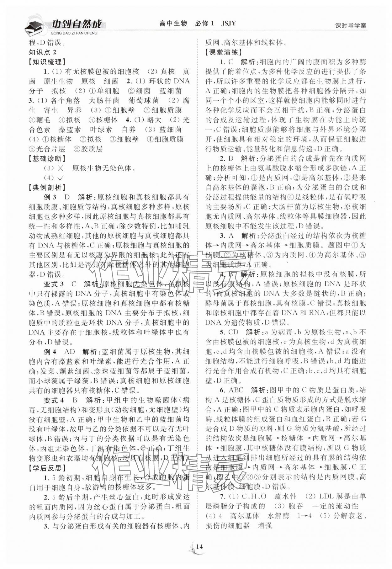 2023年功到自然成課時(shí)導(dǎo)學(xué)案高中生物必修1蘇教版 第14頁(yè)