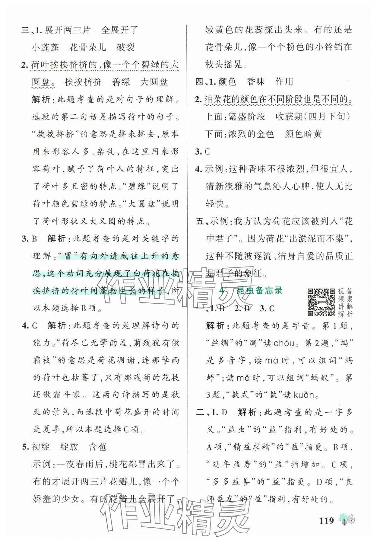 2025年绿卡提优特训三年级语文下册人教版江苏专版&nbsp;参考答案第3页