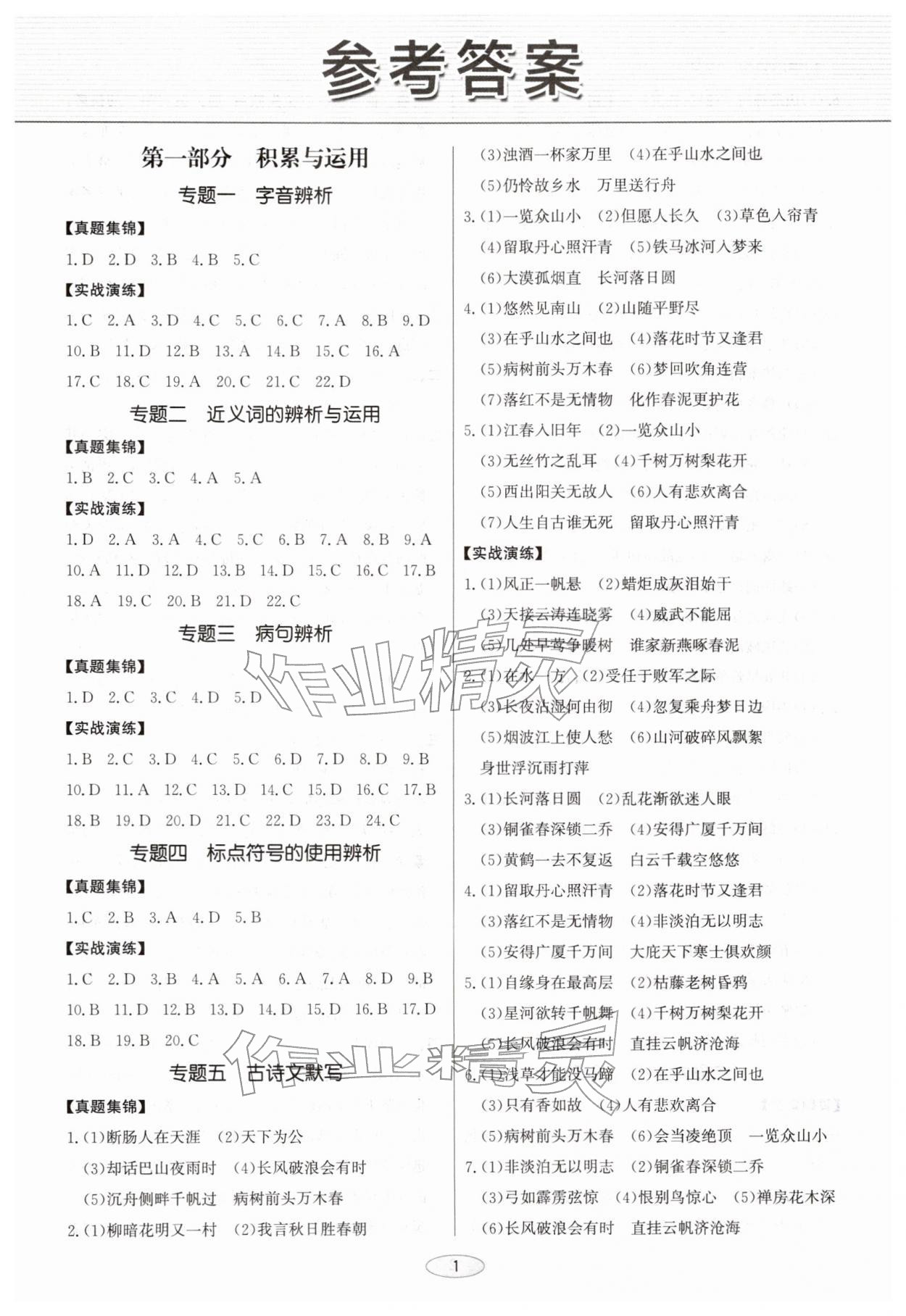 2026年初中总复习北京教育出版社九年级语文天津专版&nbsp;第1页