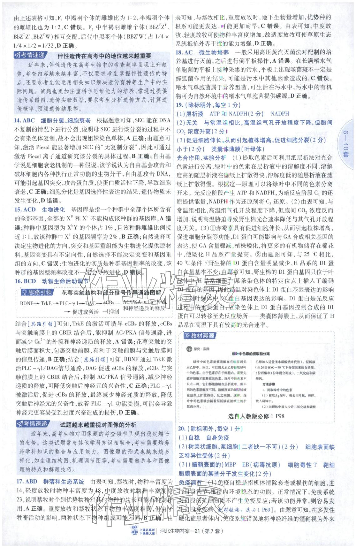 2026年金考卷優(yōu)秀模擬試卷匯編45套高中生物河北專版 第21頁
