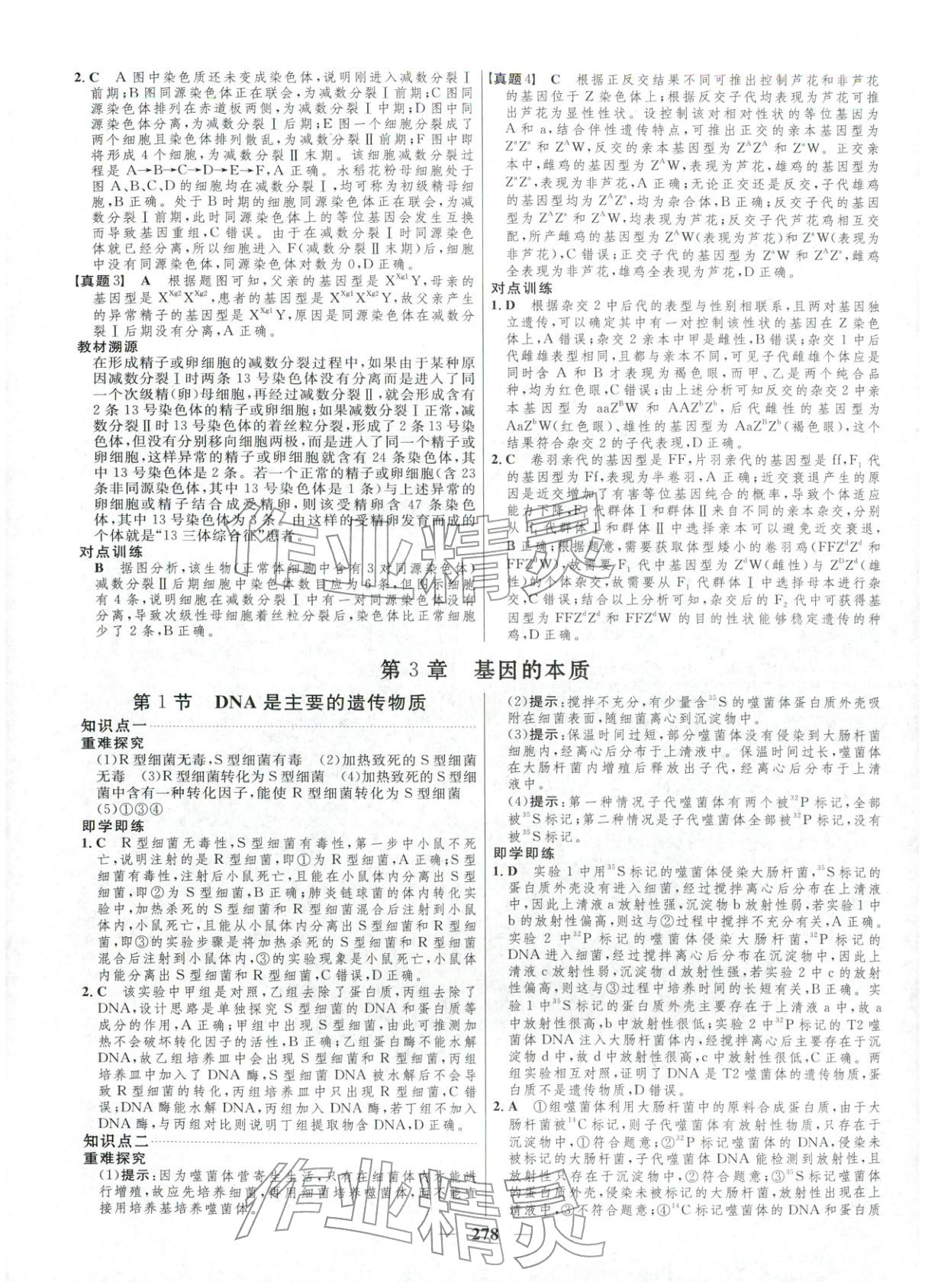 2025年三维设计高中生物必修第二册通&nbsp;第14页