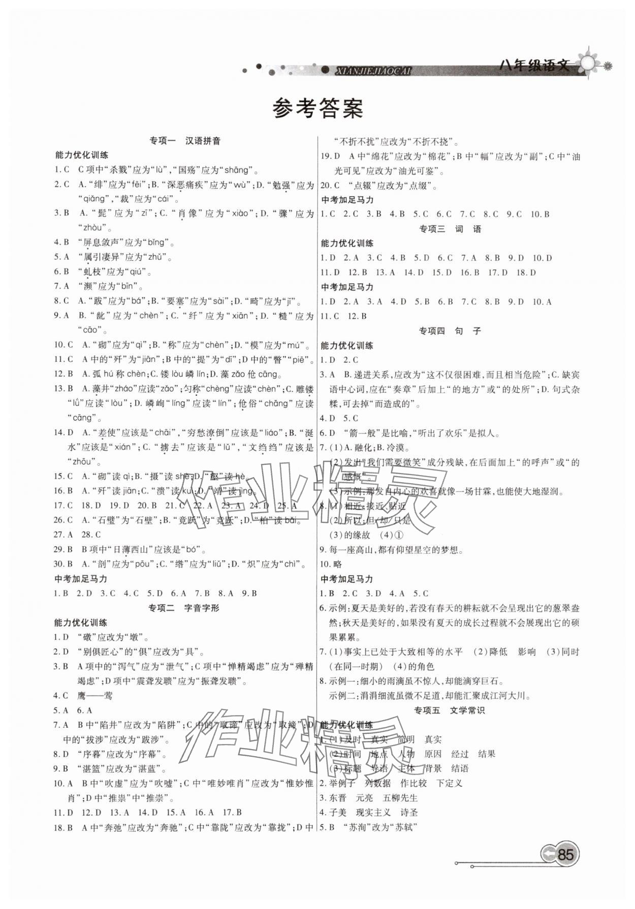 2025年銜接教材學(xué)期復(fù)習(xí)寒假八年級(jí)語(yǔ)文 第1頁(yè)