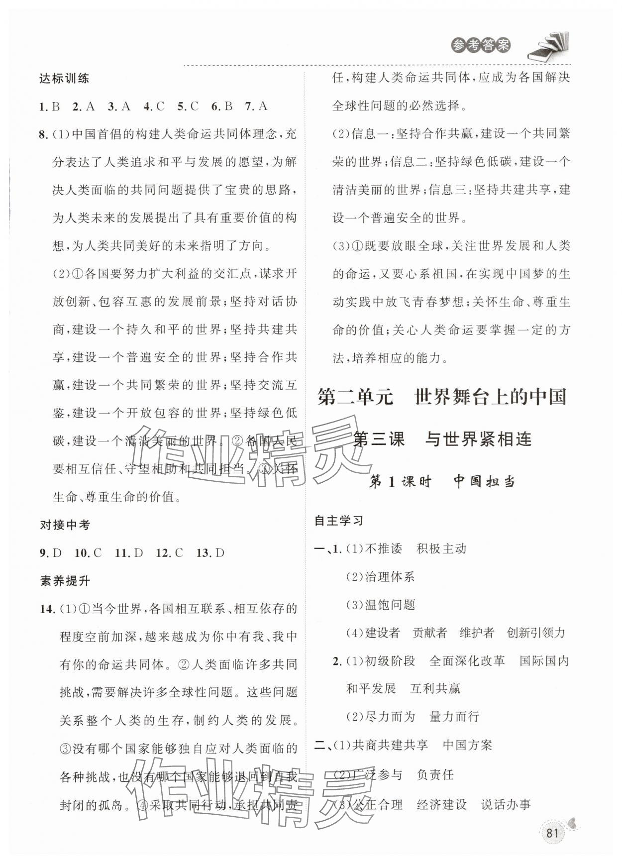 2025年配套檢測與練習(xí)九年級道德與法治下冊人教版 參考答案第4頁