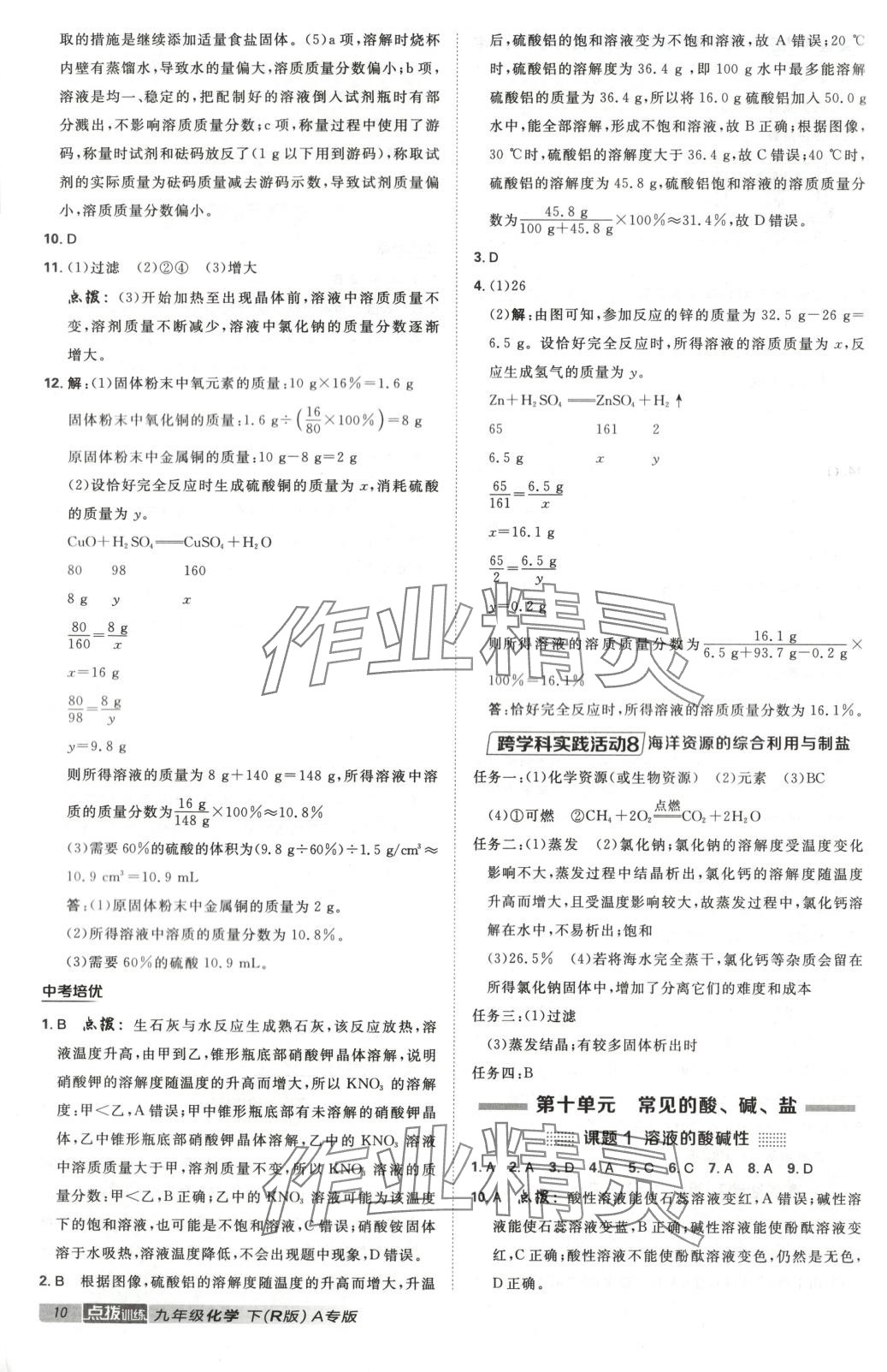 2025年點撥訓練九年級化學下冊人教版河北專版&nbsp;第10頁