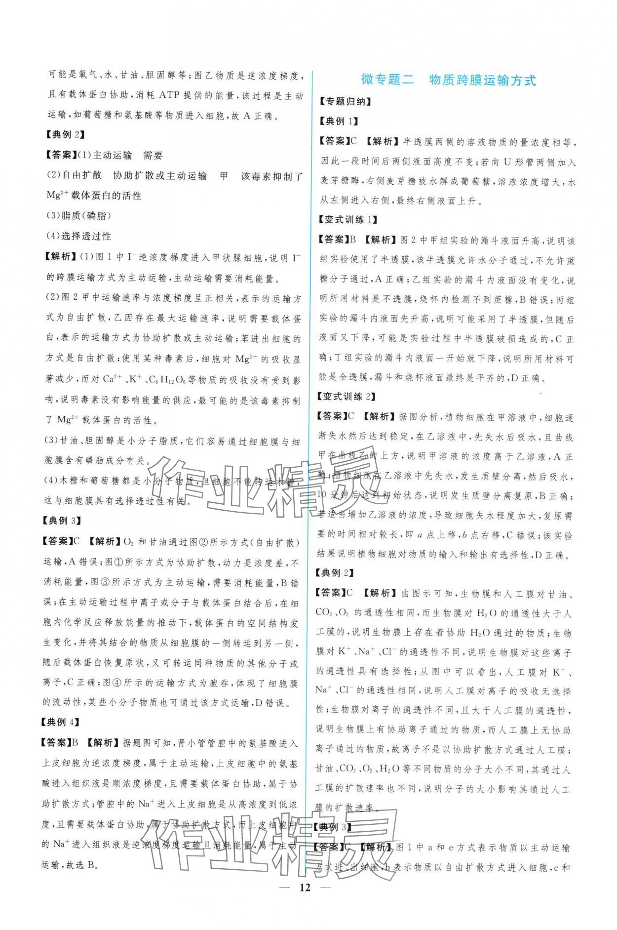 2024年新課程同步練習(xí)冊生物必修1人教版 參考答案第12頁