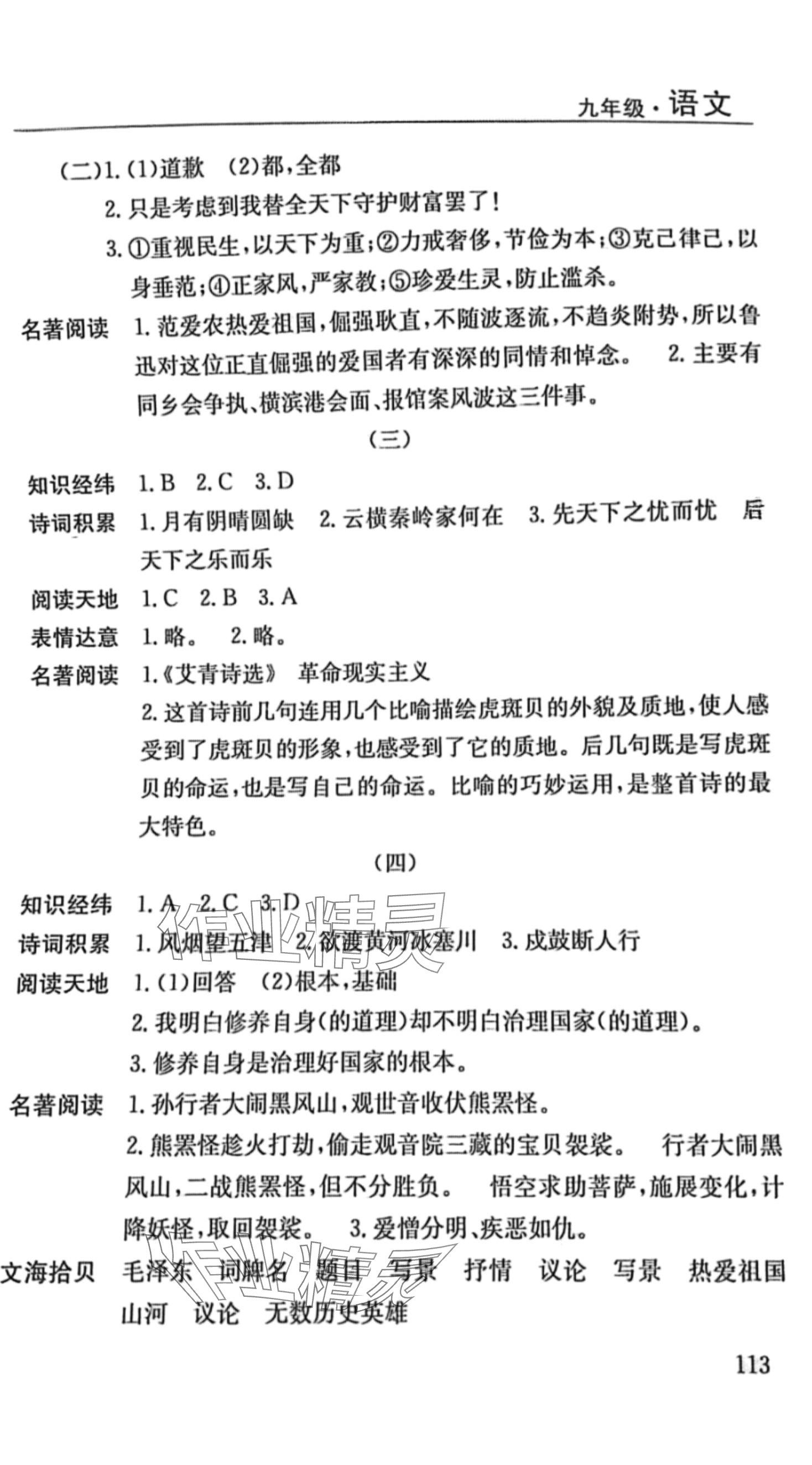 2024年寒假课程练习南方出版社九年级语文 第2页